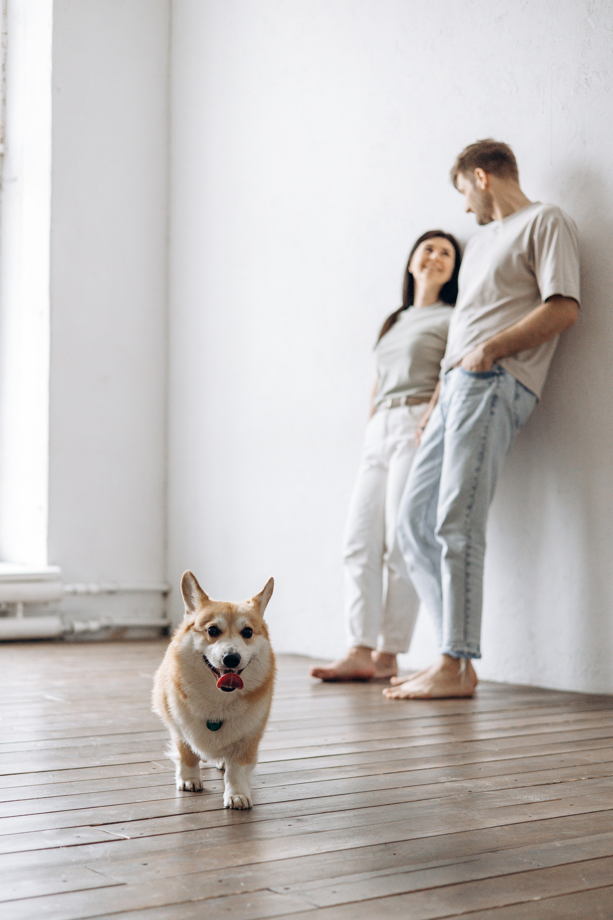 Ричи и его семья. Фотограф — Анималист | Санкт-Петербург