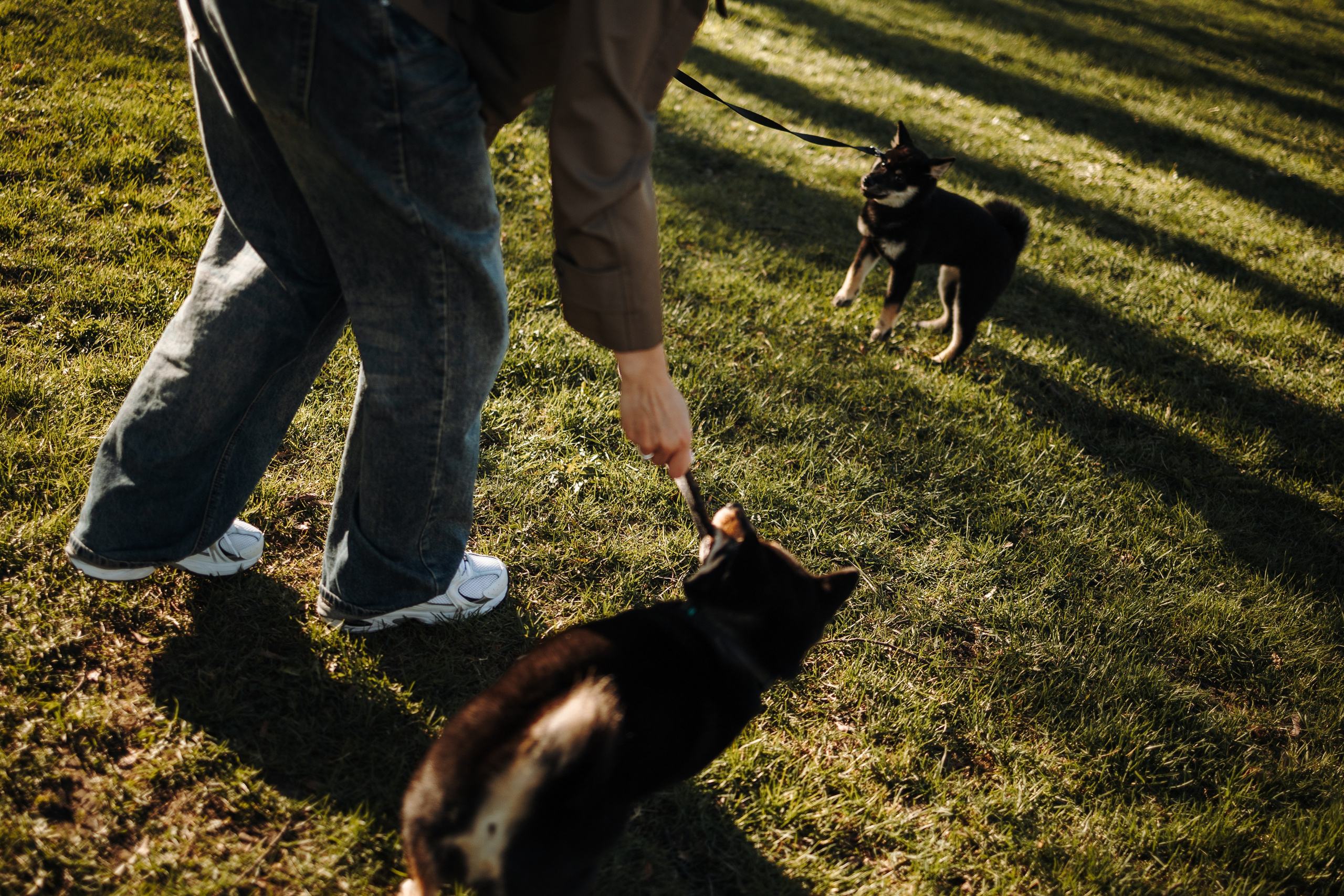Даша и ее девочки. Фотограф — Анималист | Санкт-Петербург