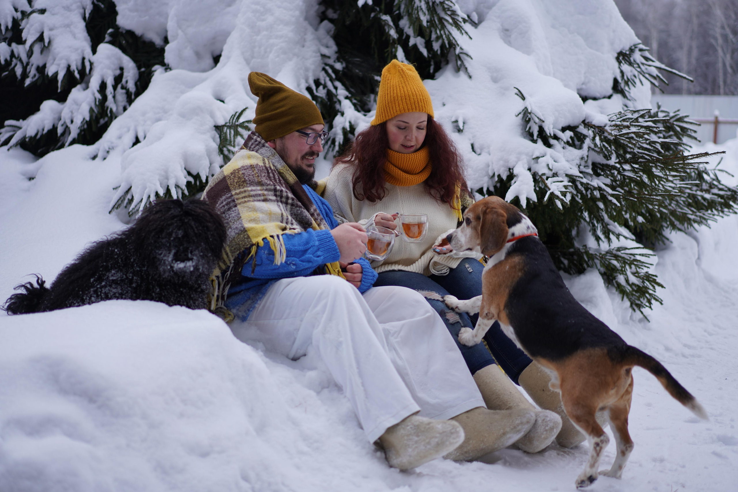 Love story. Ваш семейный и детский фотограф Софья в Москве