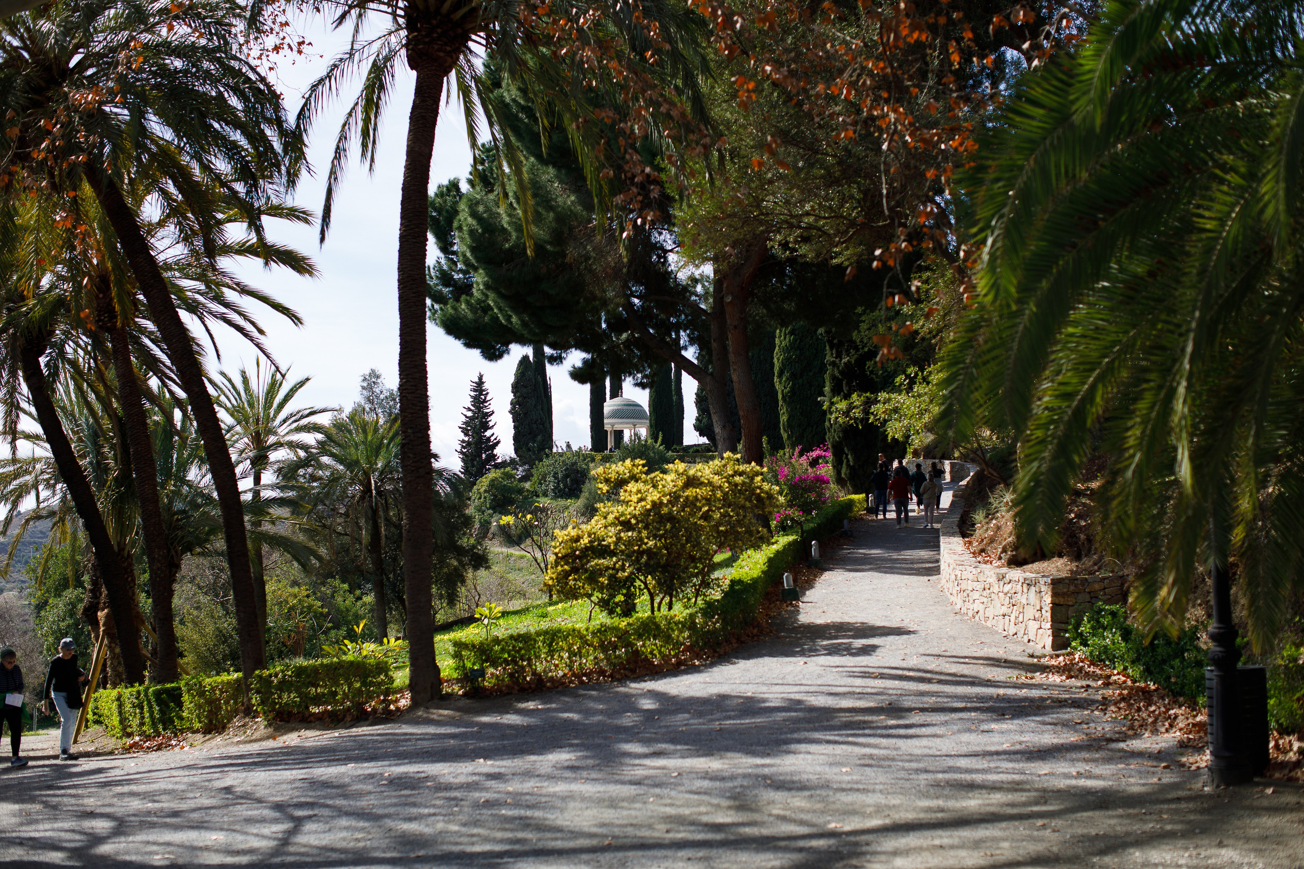 Малага 2024. Репортажный и портретный фотограф Русакова Жанна