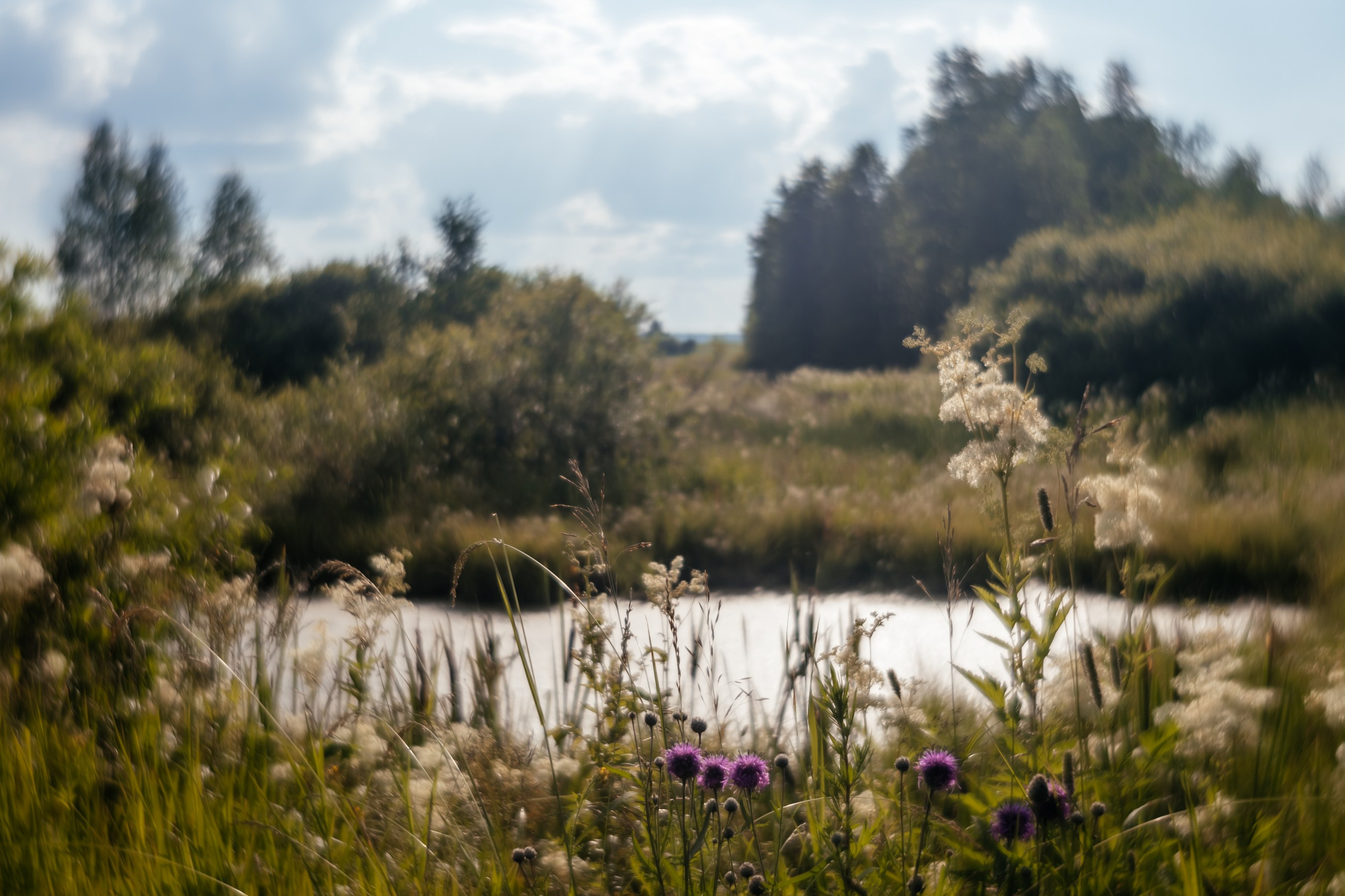 Сны о детстве. Фотограф в Красноярске Оксана Корчагина