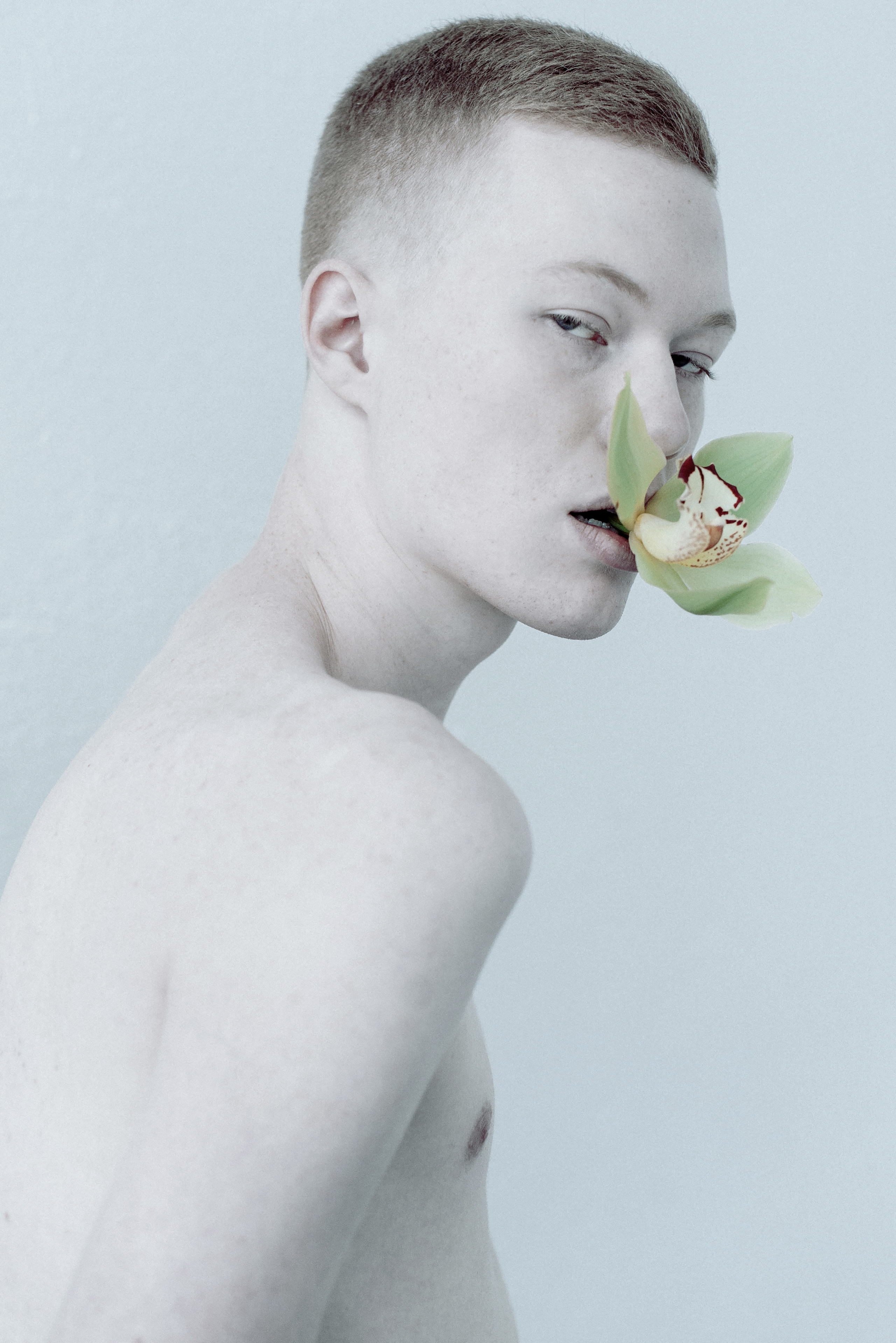 Farewell to arms. Sergey Vinogradov photographer Russia Saint Petersburg