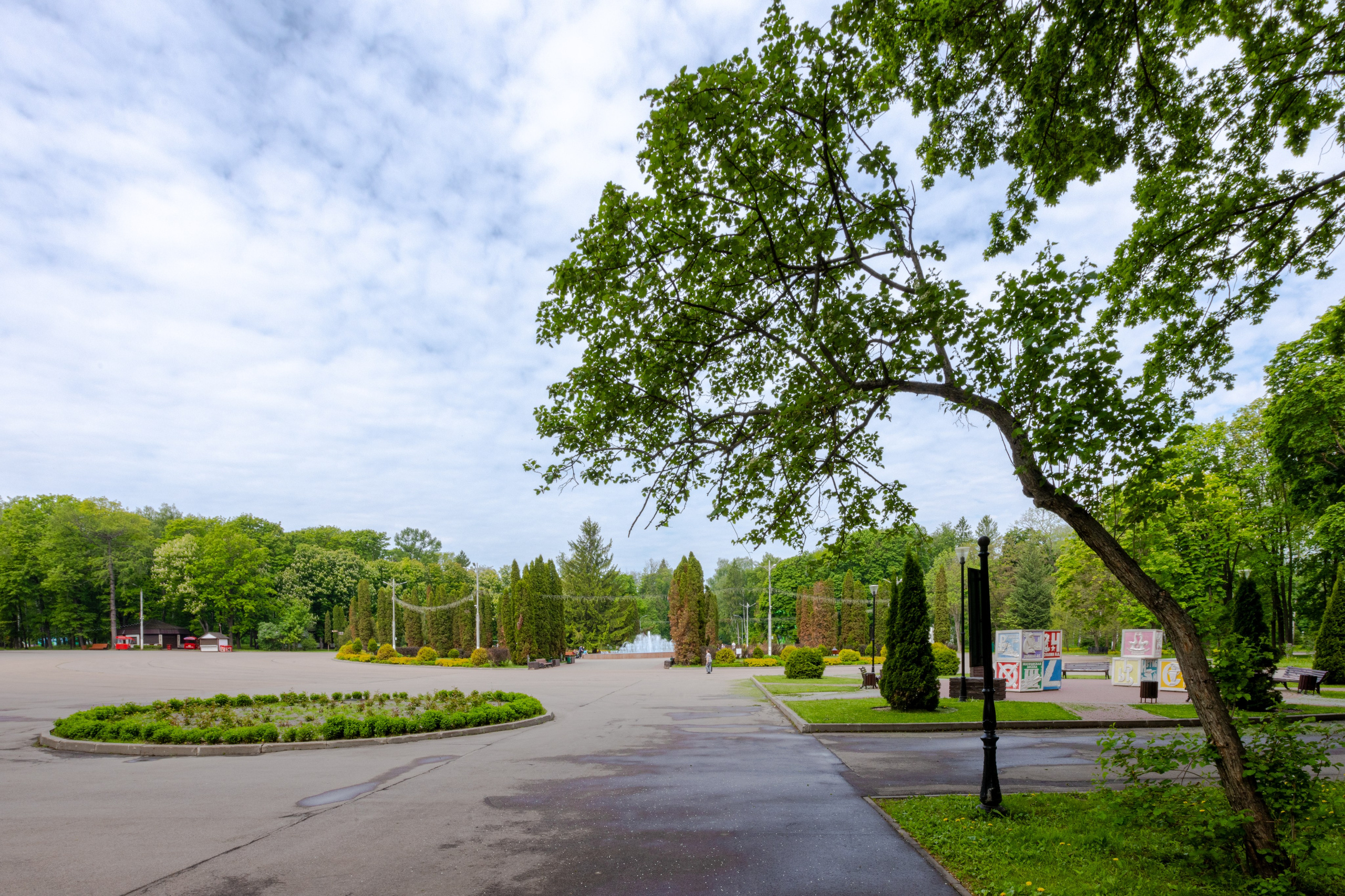 Парк им. П. П. Белоусова г. Тула 2024 г. Фотограф в Туле Крупский АнДРей. Фотостудия «КАДР71» в Туле