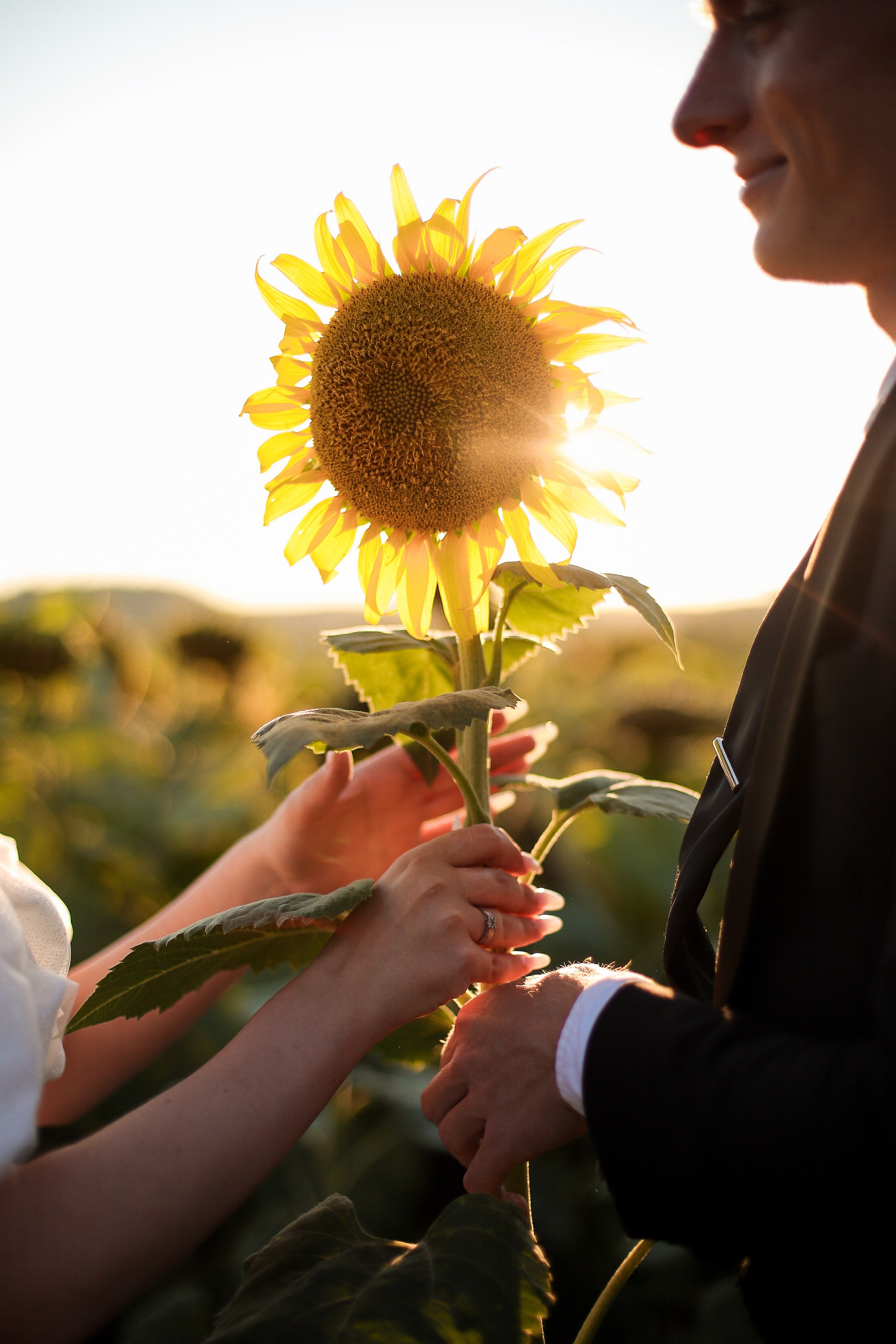 Свадьбы. Фотограф в Анапе и Геленджике
