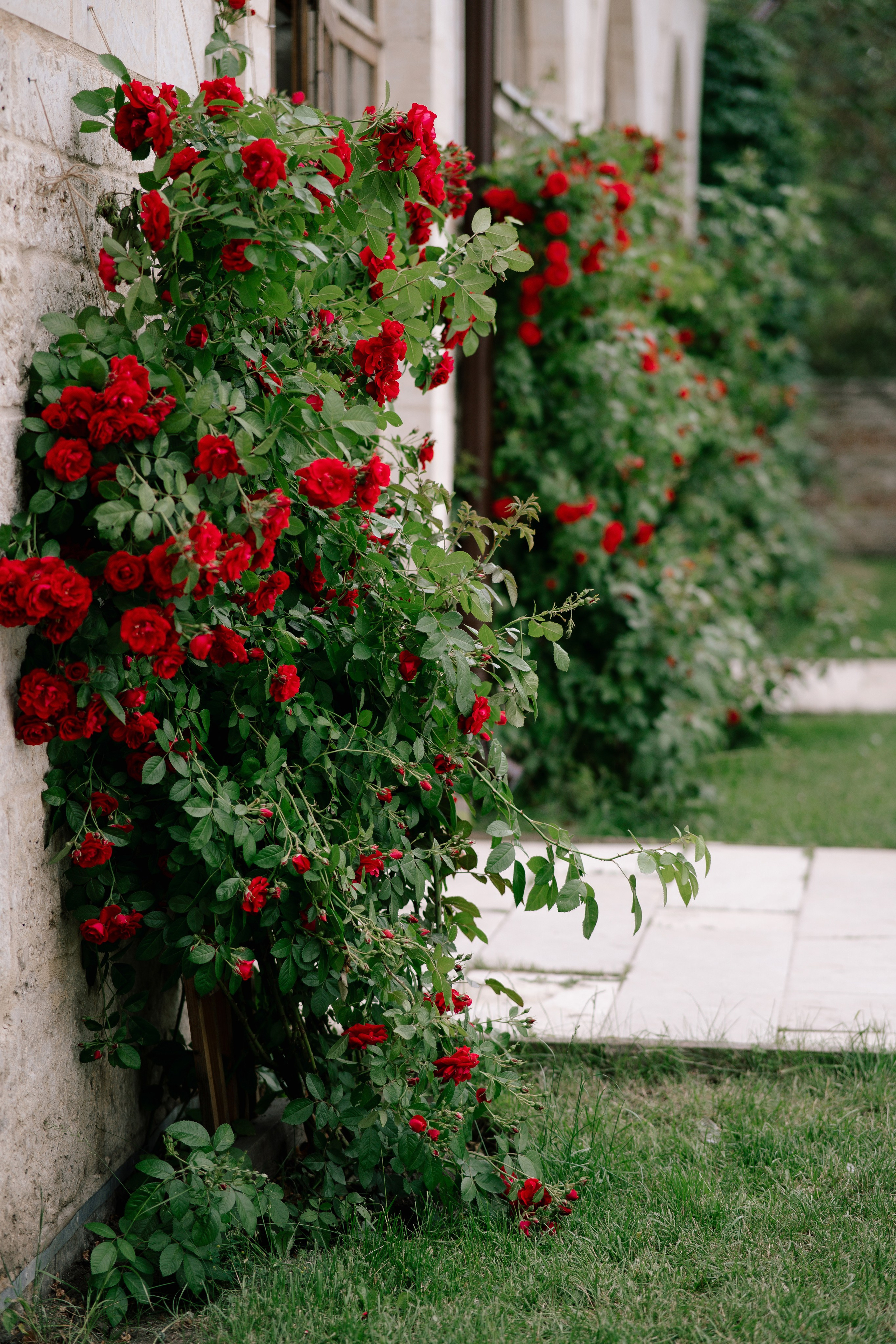 Настя и Владимир. Свадебный фотограф Воронеж