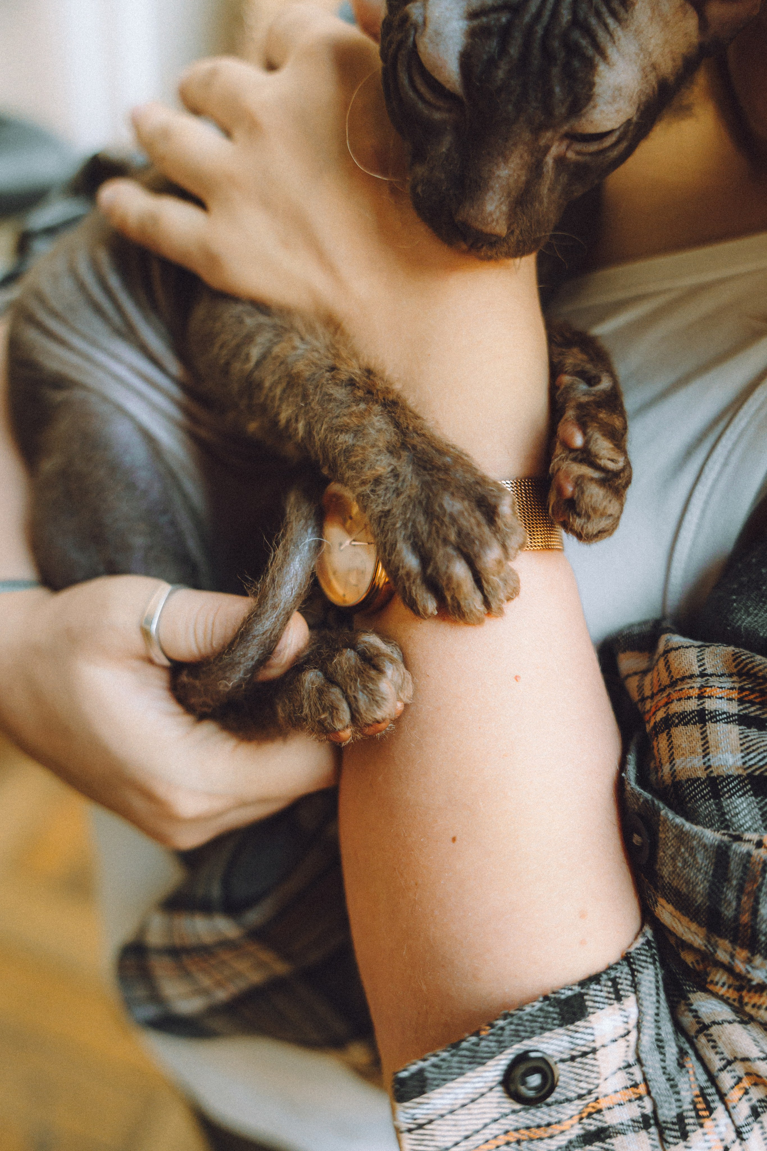 Кокос, Света, Динара и Вилли