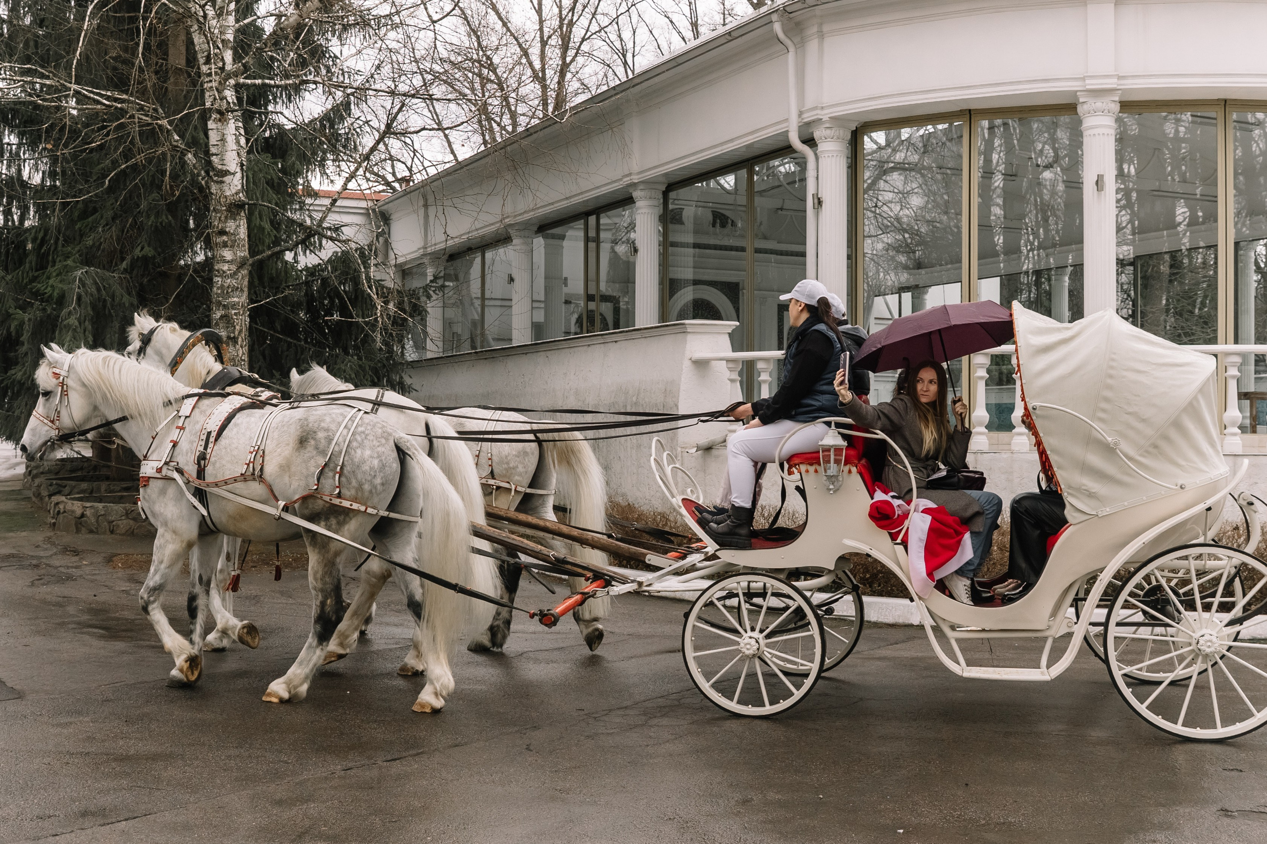 День Орловского рысака. Парк-отель Яр. Свадебный, репортажный фотограф Ирина Шкурина