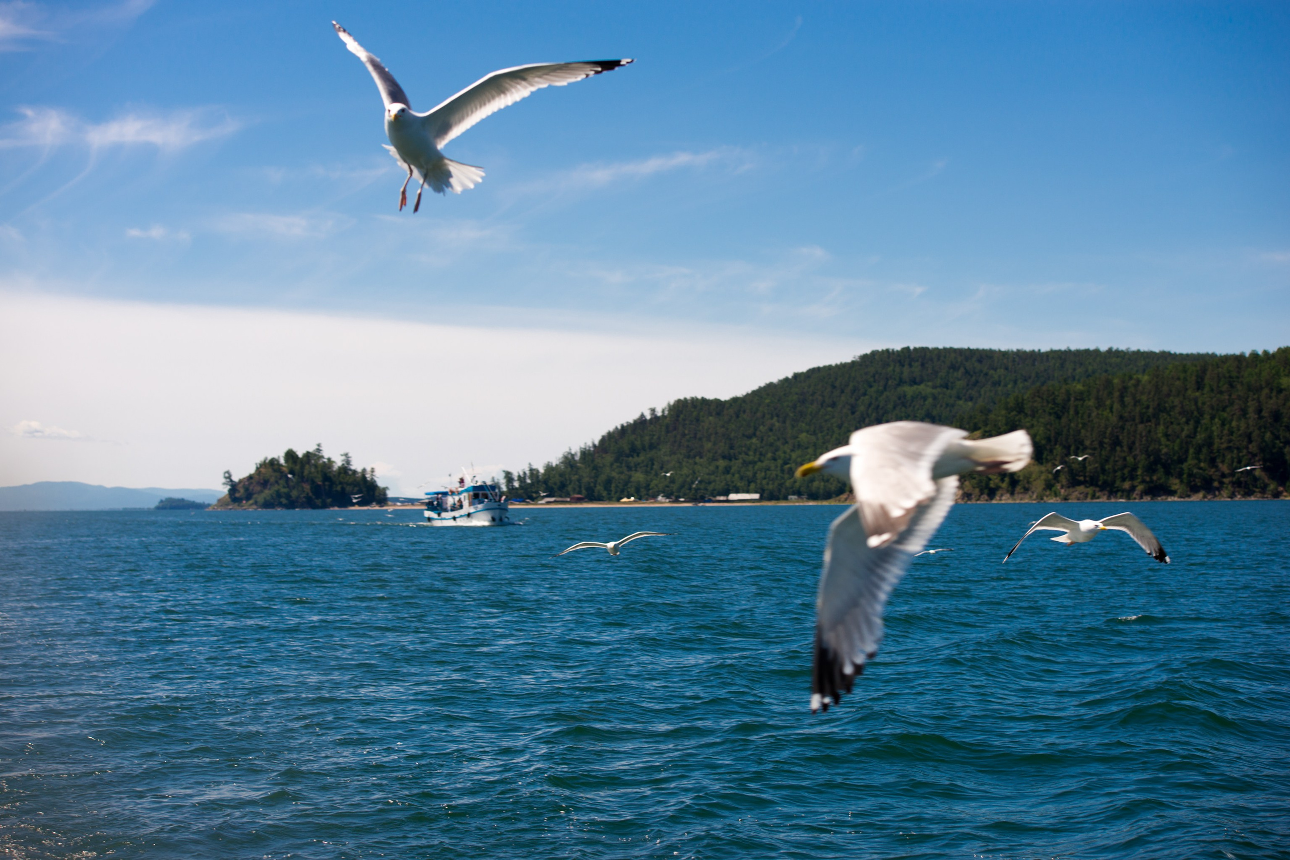 Фотографии озера Байкал. Петр Ступень. Свадебное, семейное фото и видео. Москва. Краснодар