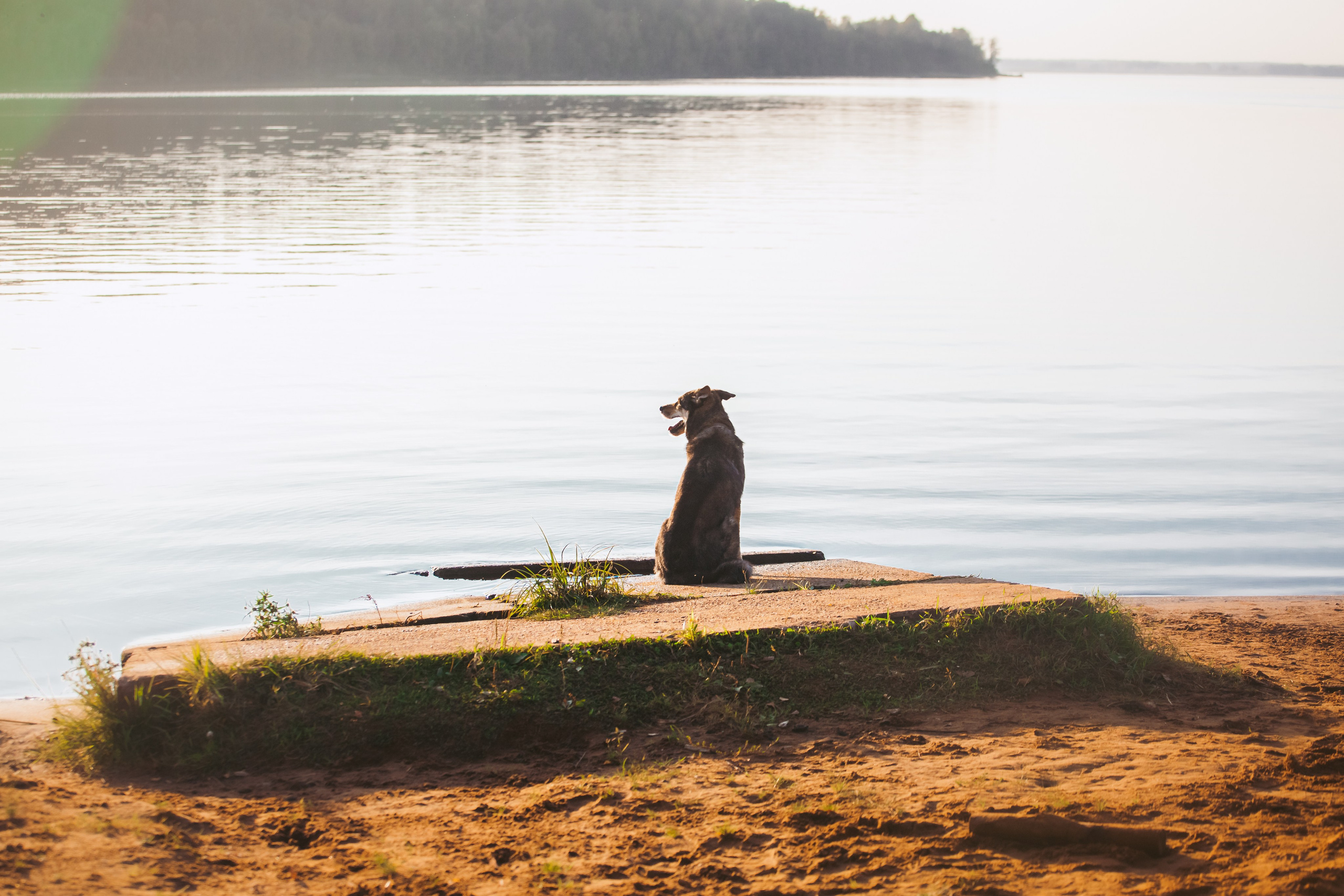 Фотопрогулка в Ленобласти. Фотограф-анималист Татьяна Степанова