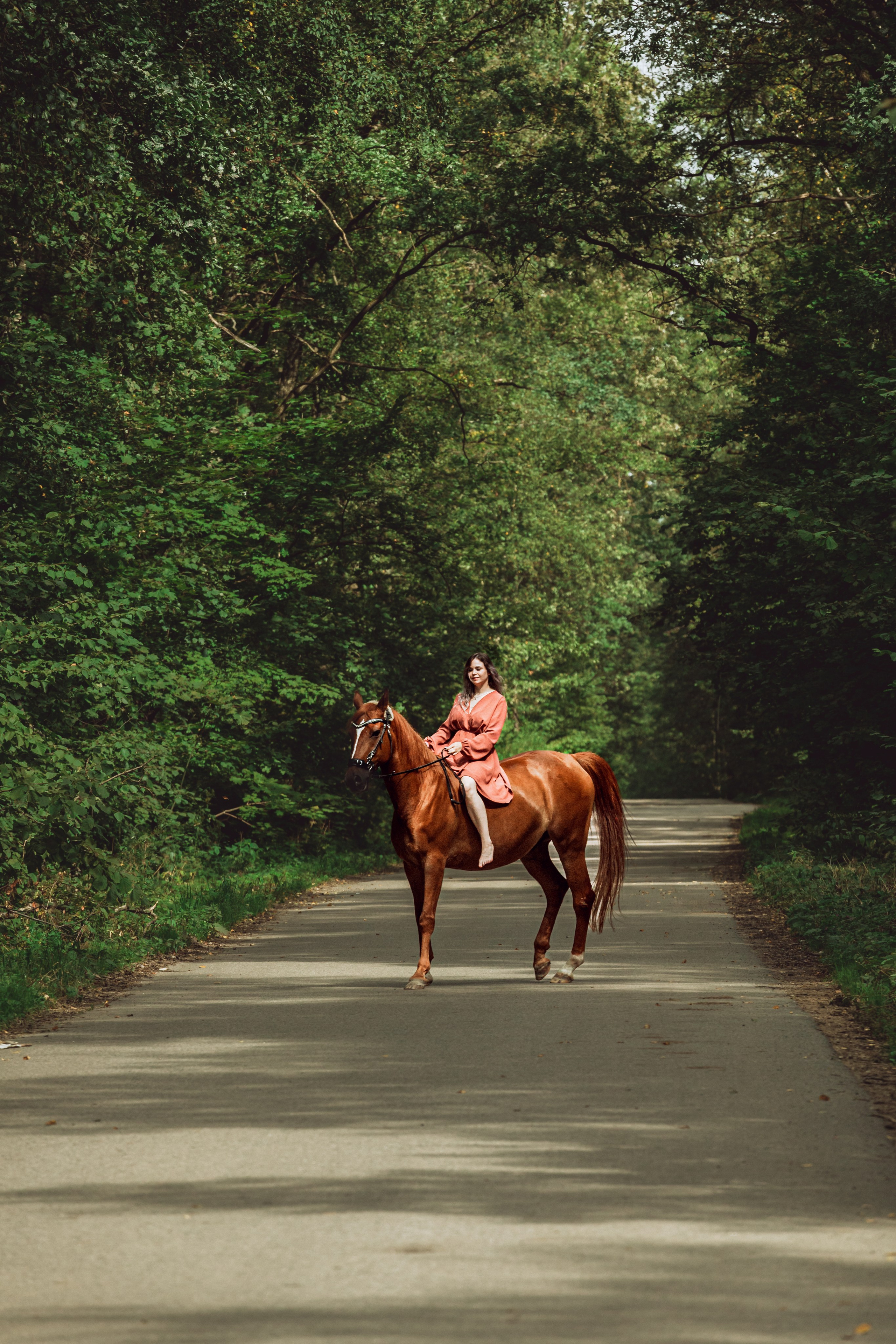 Экспресс фотопрогулка на конюшне. Фотограф-анималист Татьяна Степанова