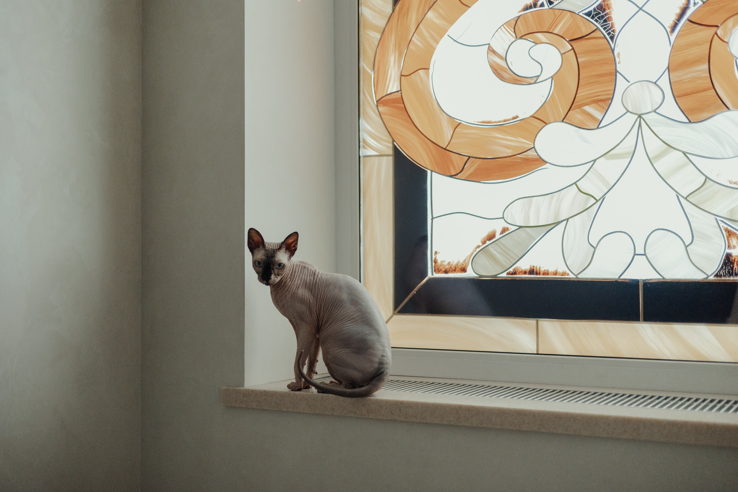 Алина, Илья и их хвосты. Фотограф Анималист Екатерина Справцева в Нижнем Новгороде