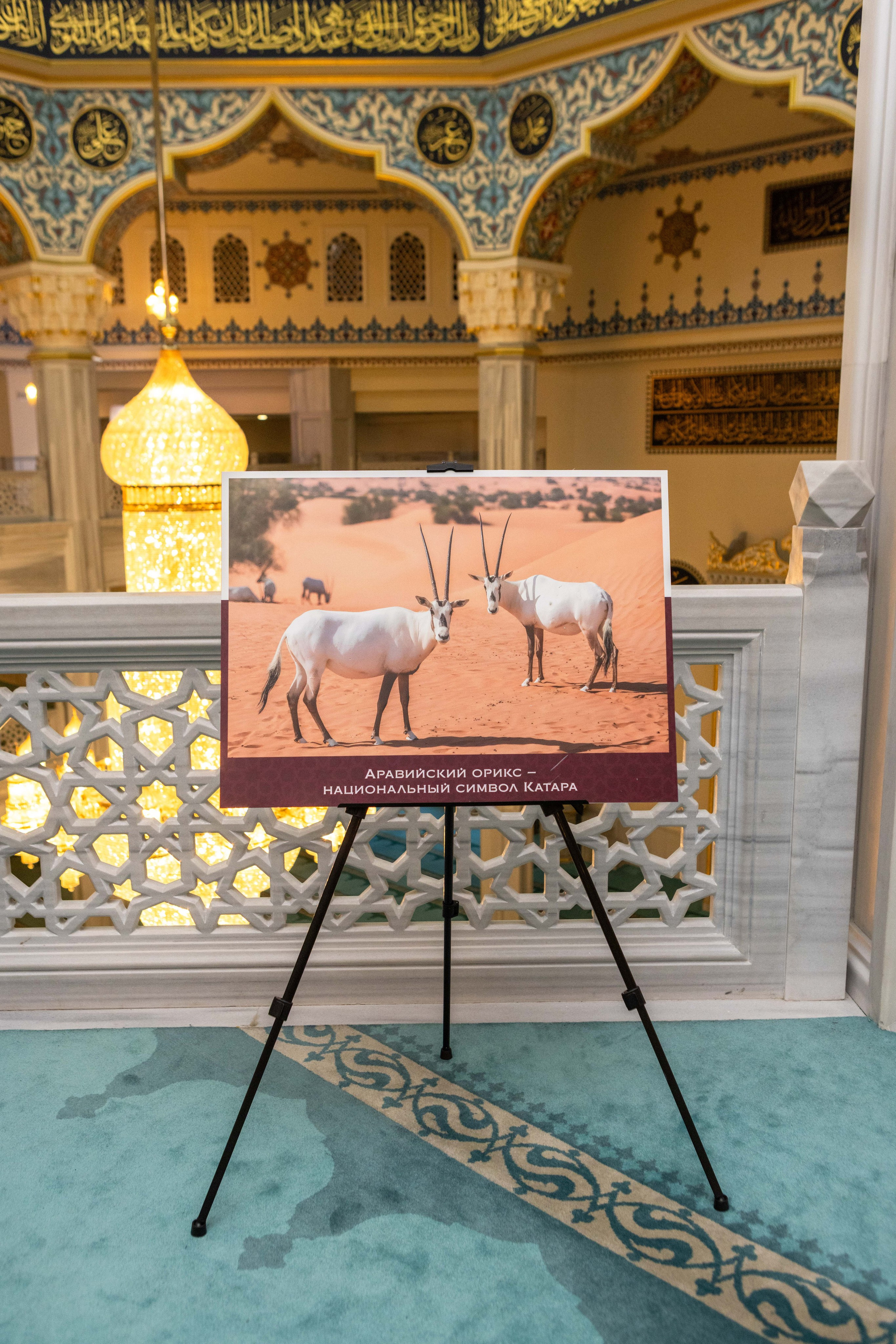 Открытие выставки Мир Корана. Рекламный, предметный, репортажный, семейный фотограф и художник в Москве