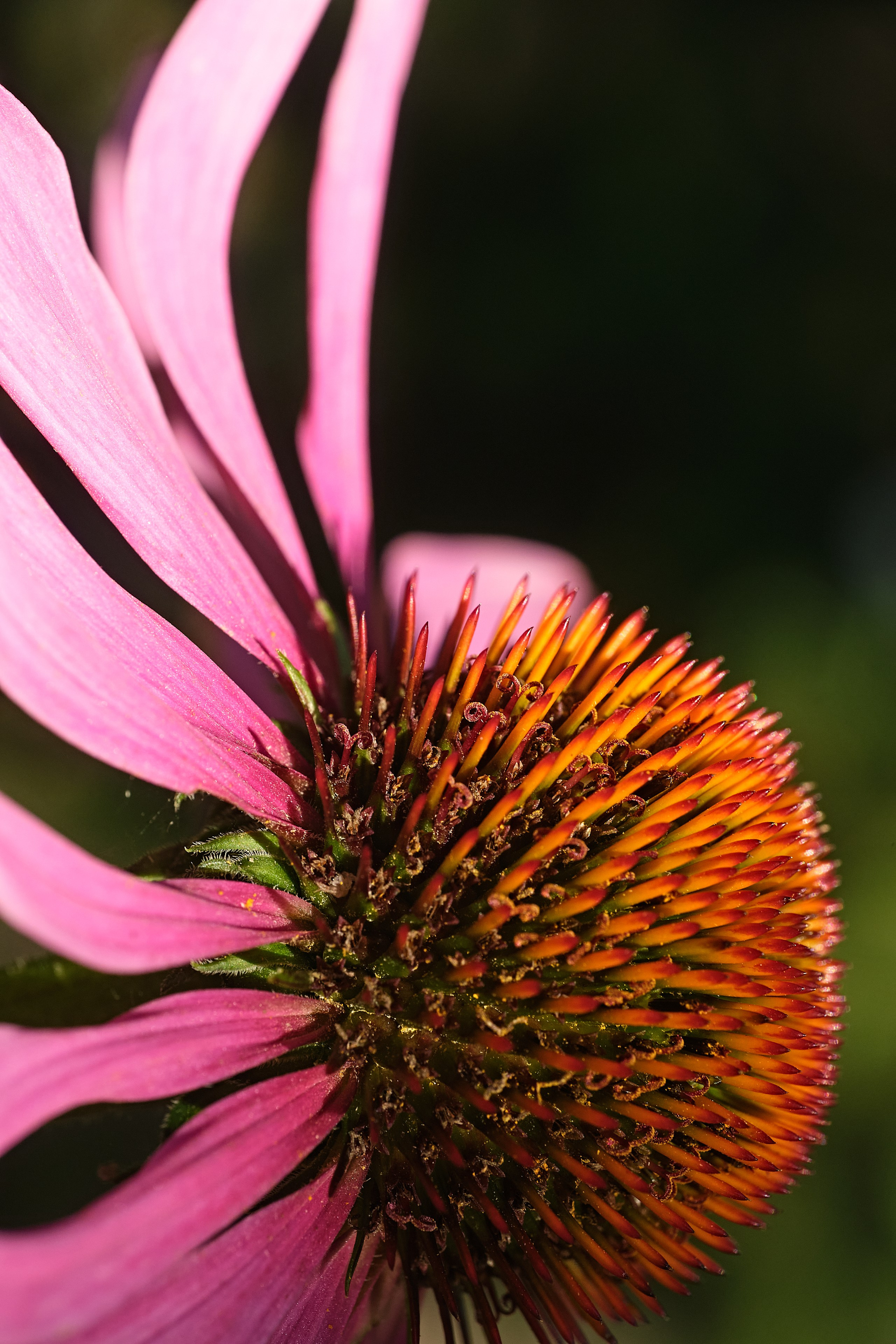 Nature. Рекламная фото и видео съёмка в Екатеринбурге