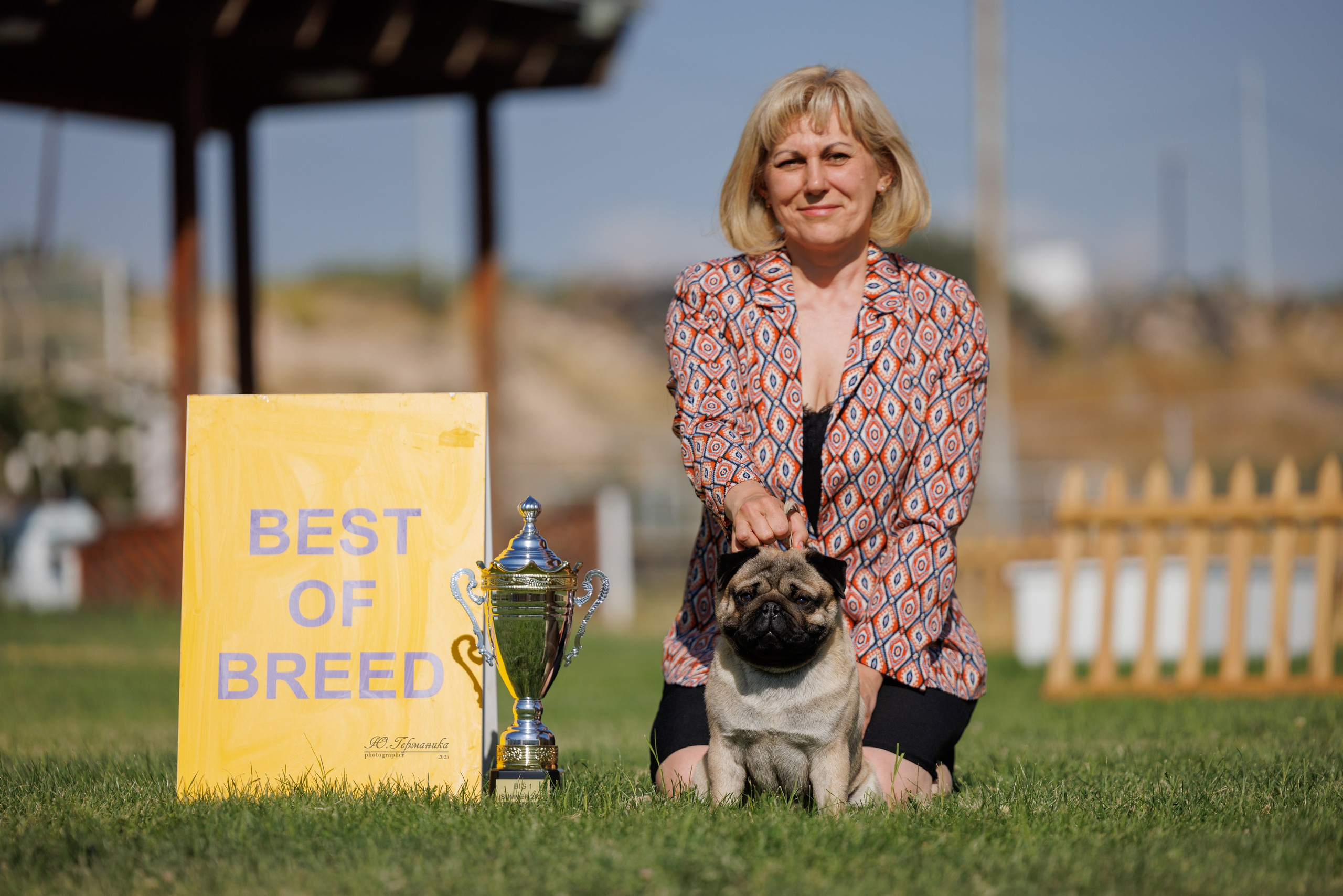 Ереван 3хCACIB 23-25.06.2025. Фотограф-анималист Юлия Германика