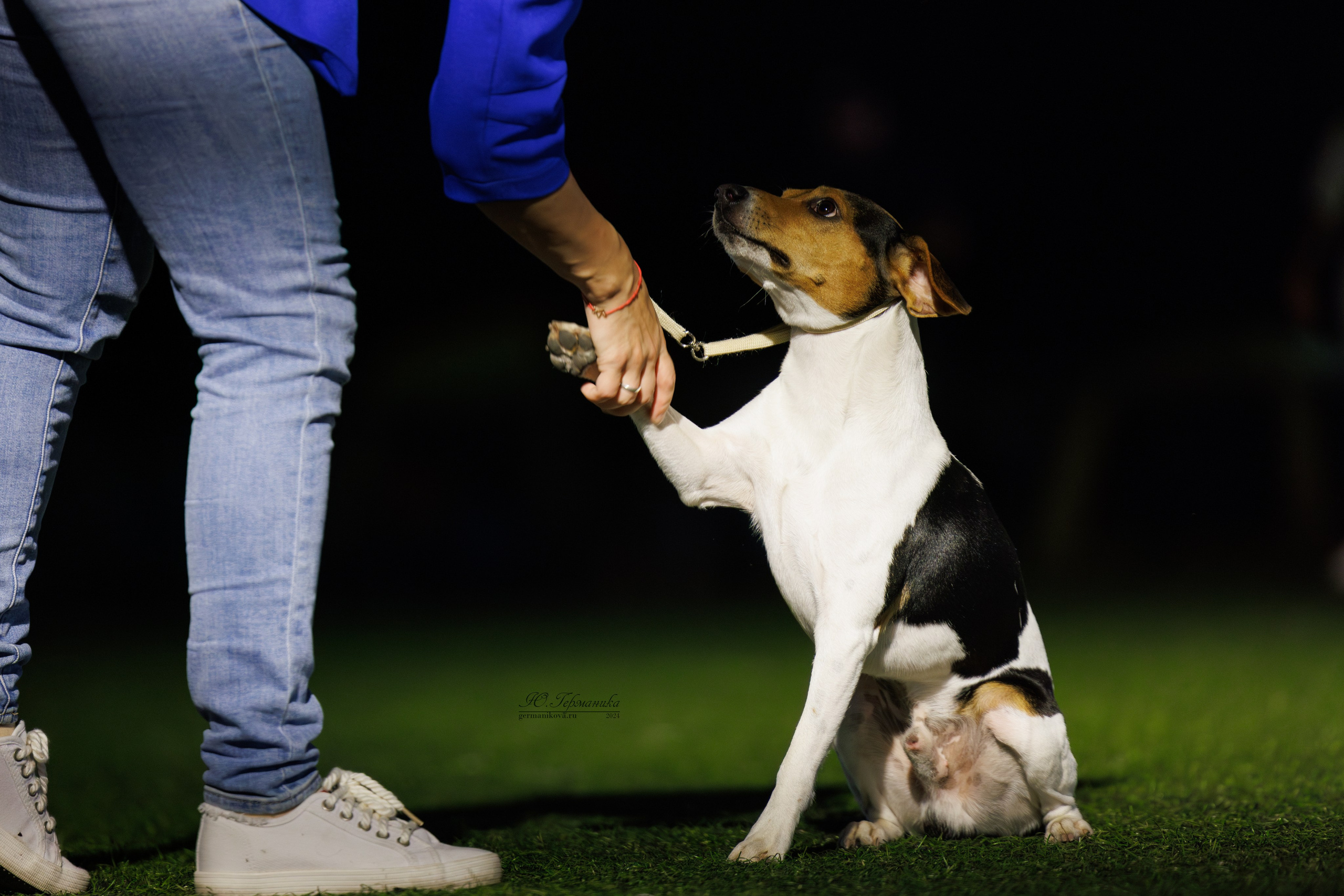 Волгоград 2-4.08.2024. Фотограф-анималист Юлия Германика