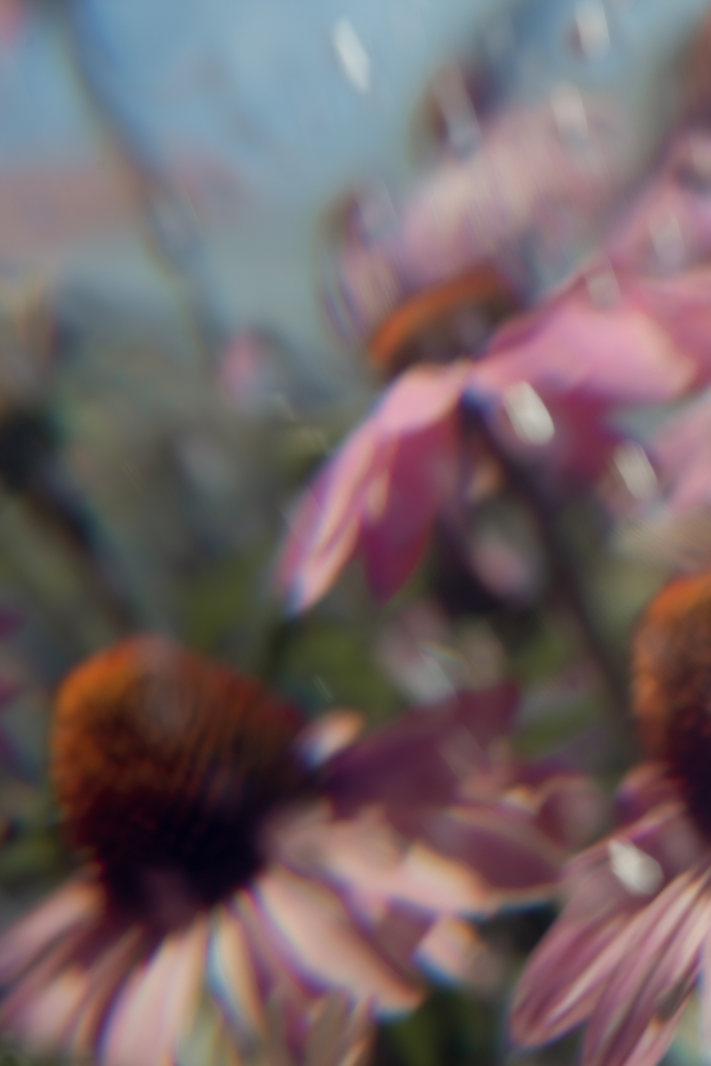 Арт-фотография. Модный фотограф в Самаре/Москве Ксения Ли