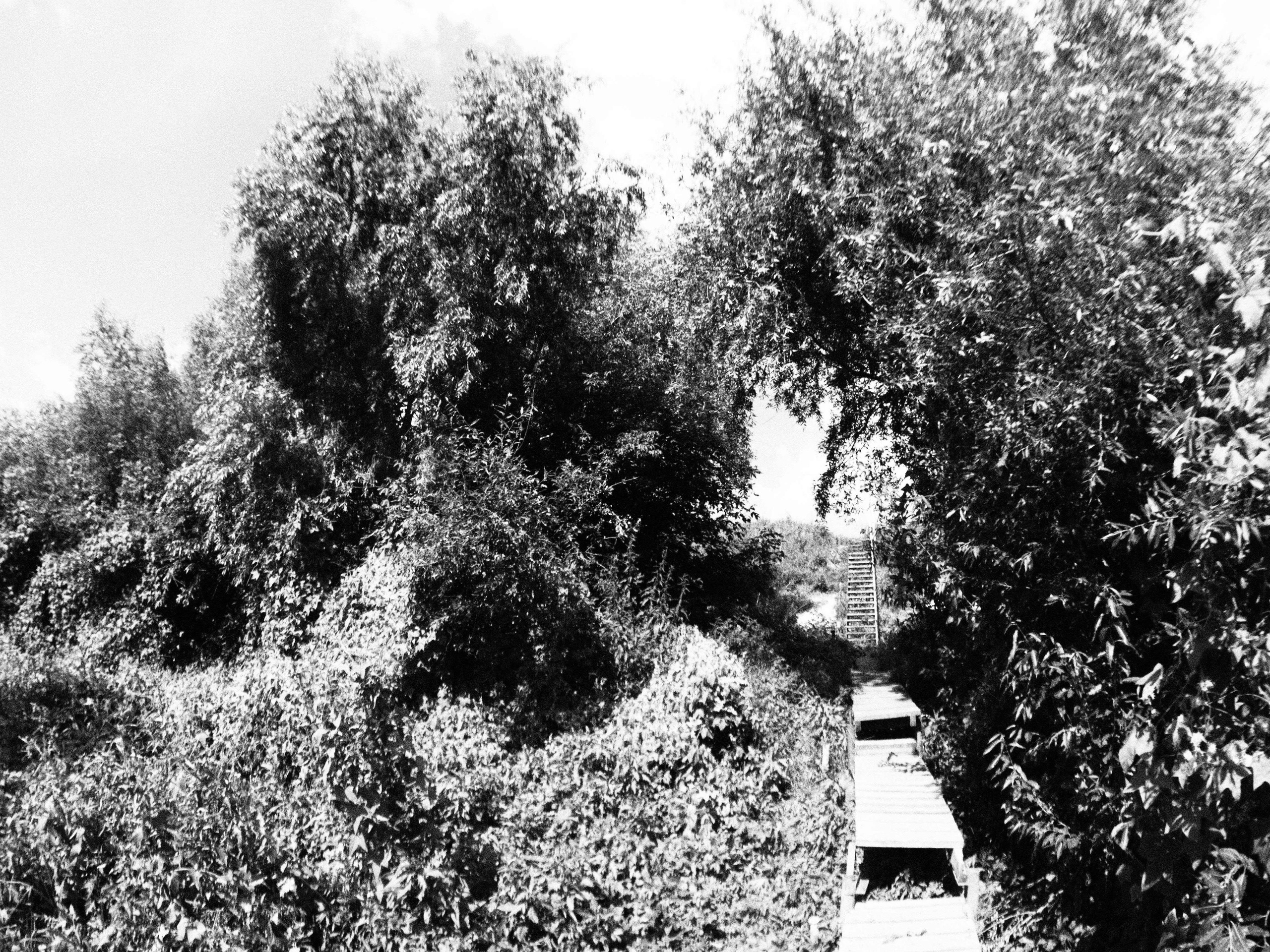 Промежуточные моменты (2023)