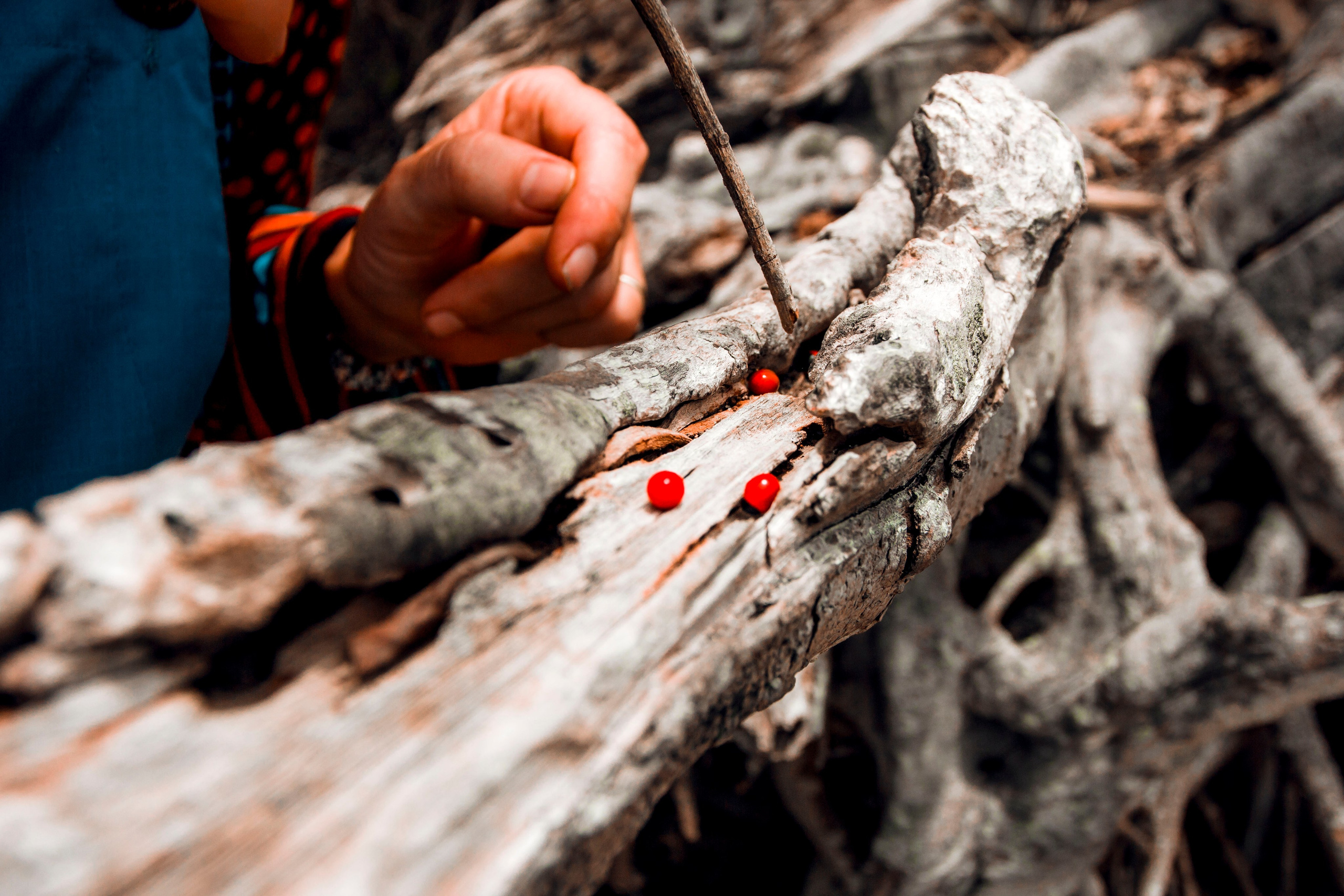 Sri Lanka. Art Photographer