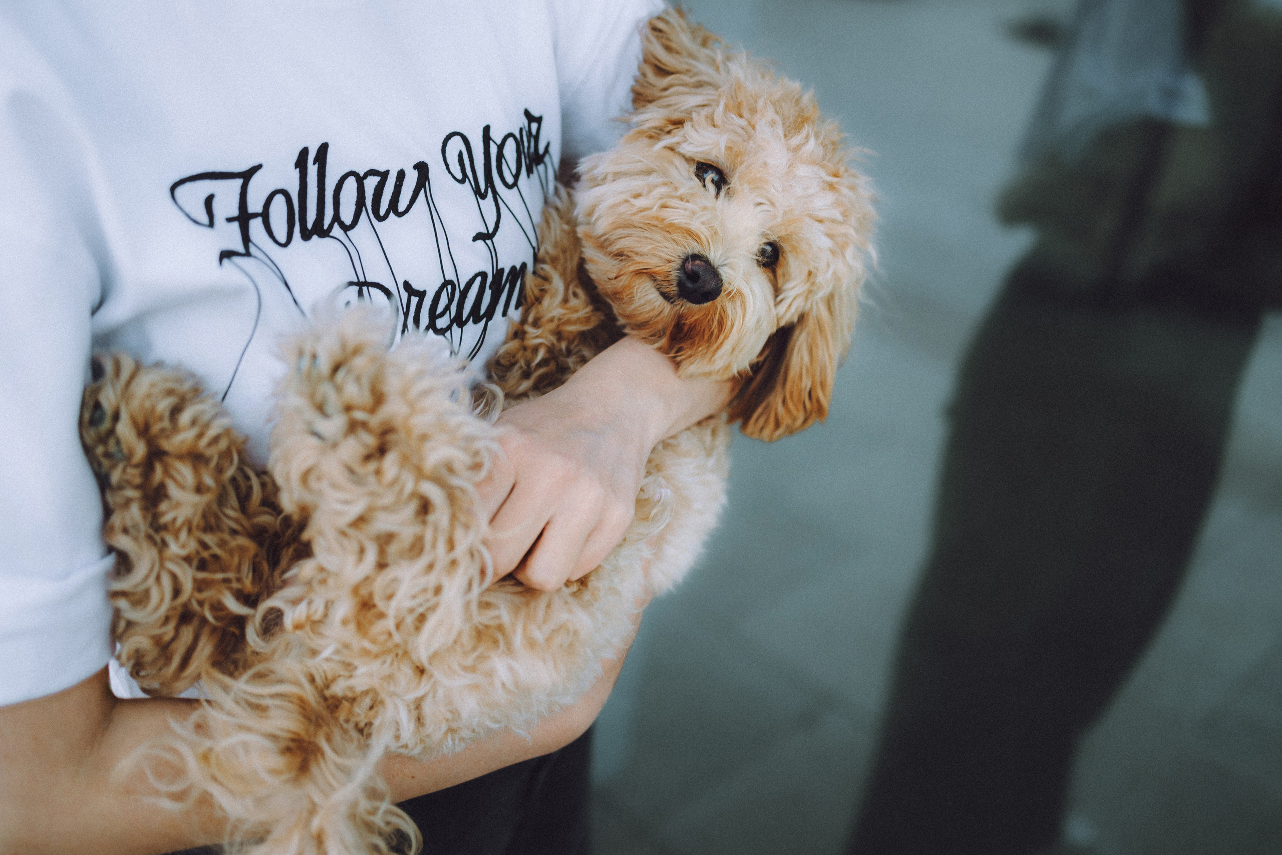 Фред и его семья