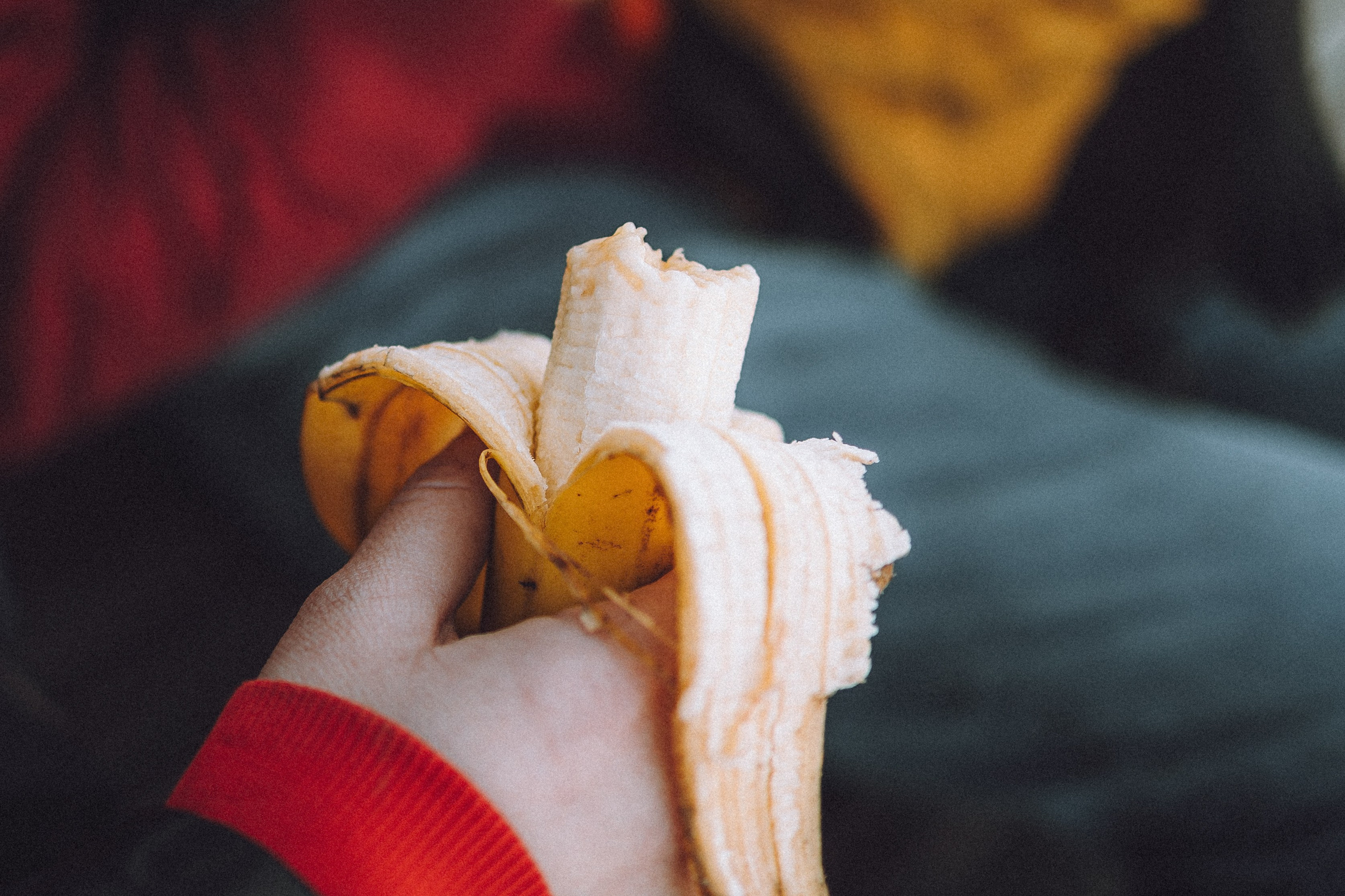 Саша, Дима и Шпуля