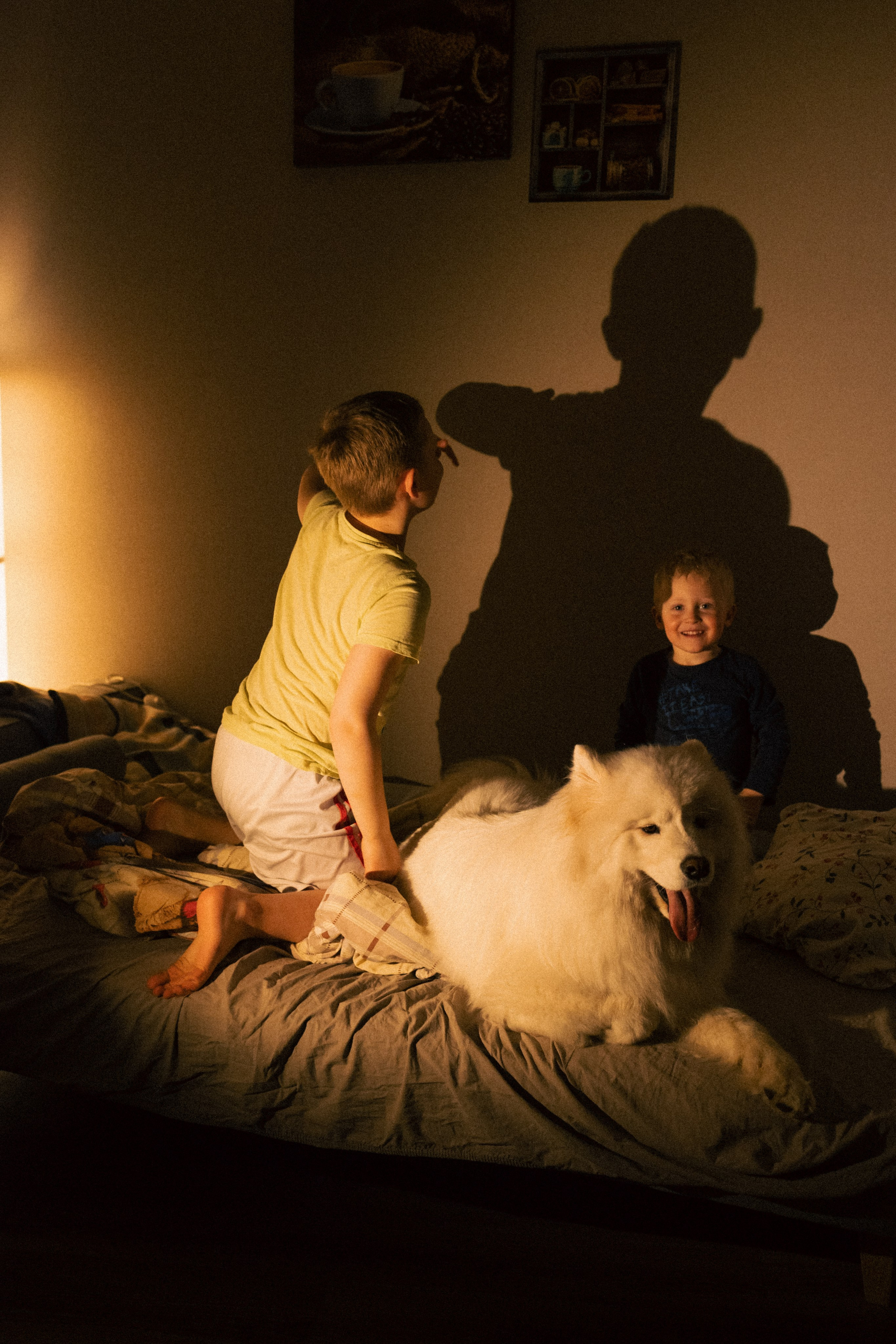 Мальчишки. Фотограф анималист в Москве Майорова Евгения