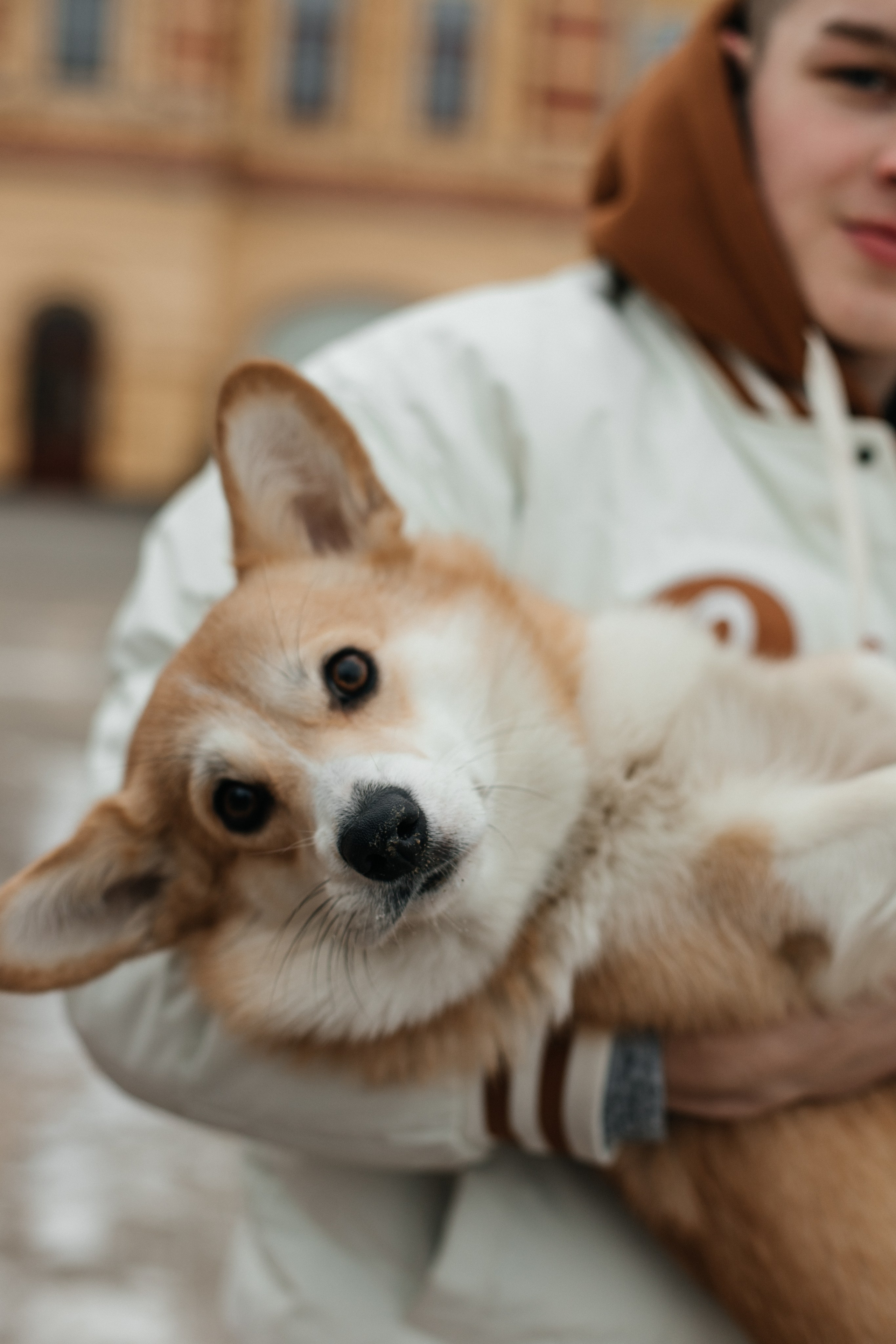 Прогулочная. Семейный фотограф в Нижнем Новгороде Куренкова Юлия