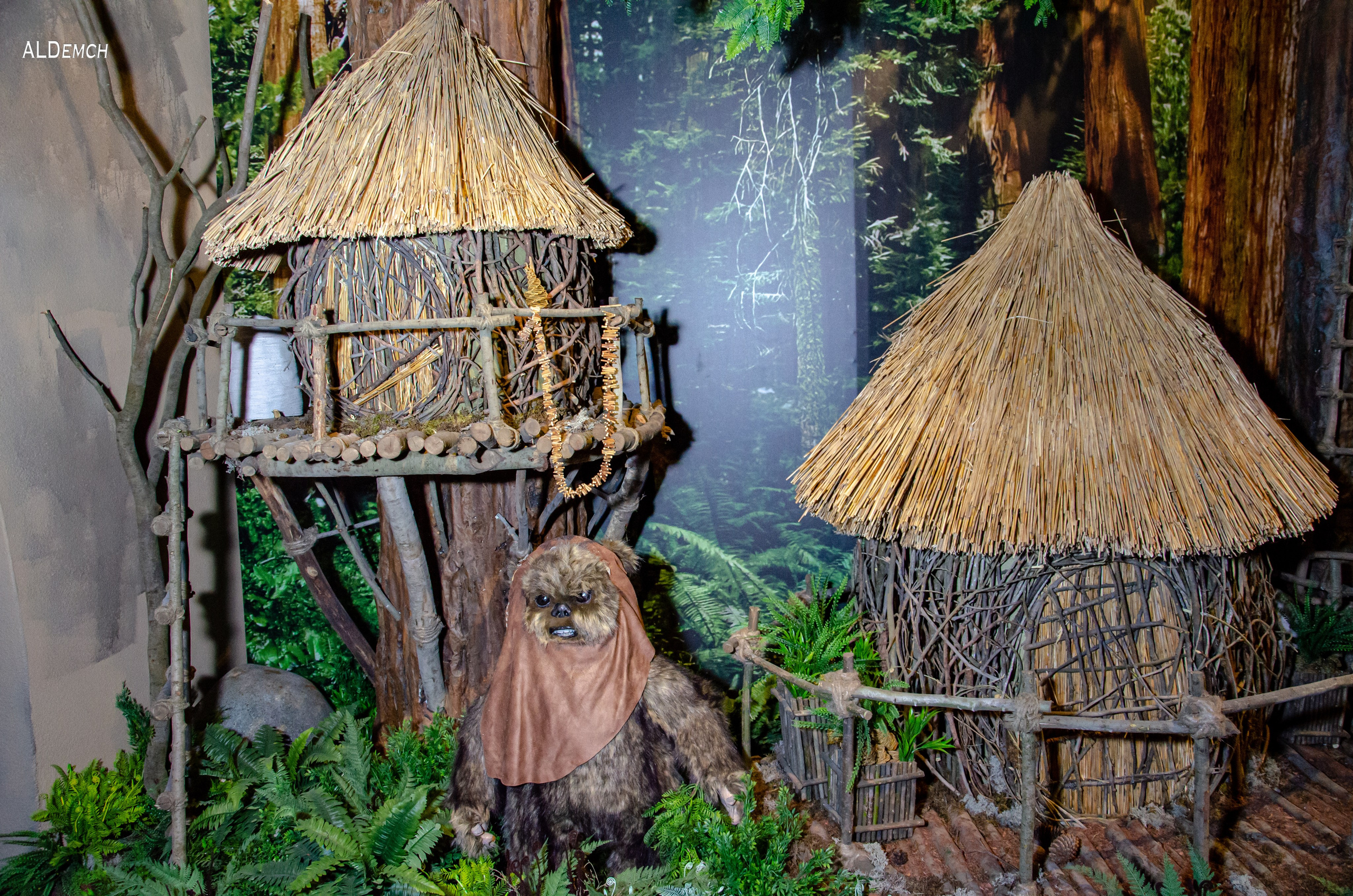 Фотосессия на ВДНХ косплей выставки по звёздным войнам