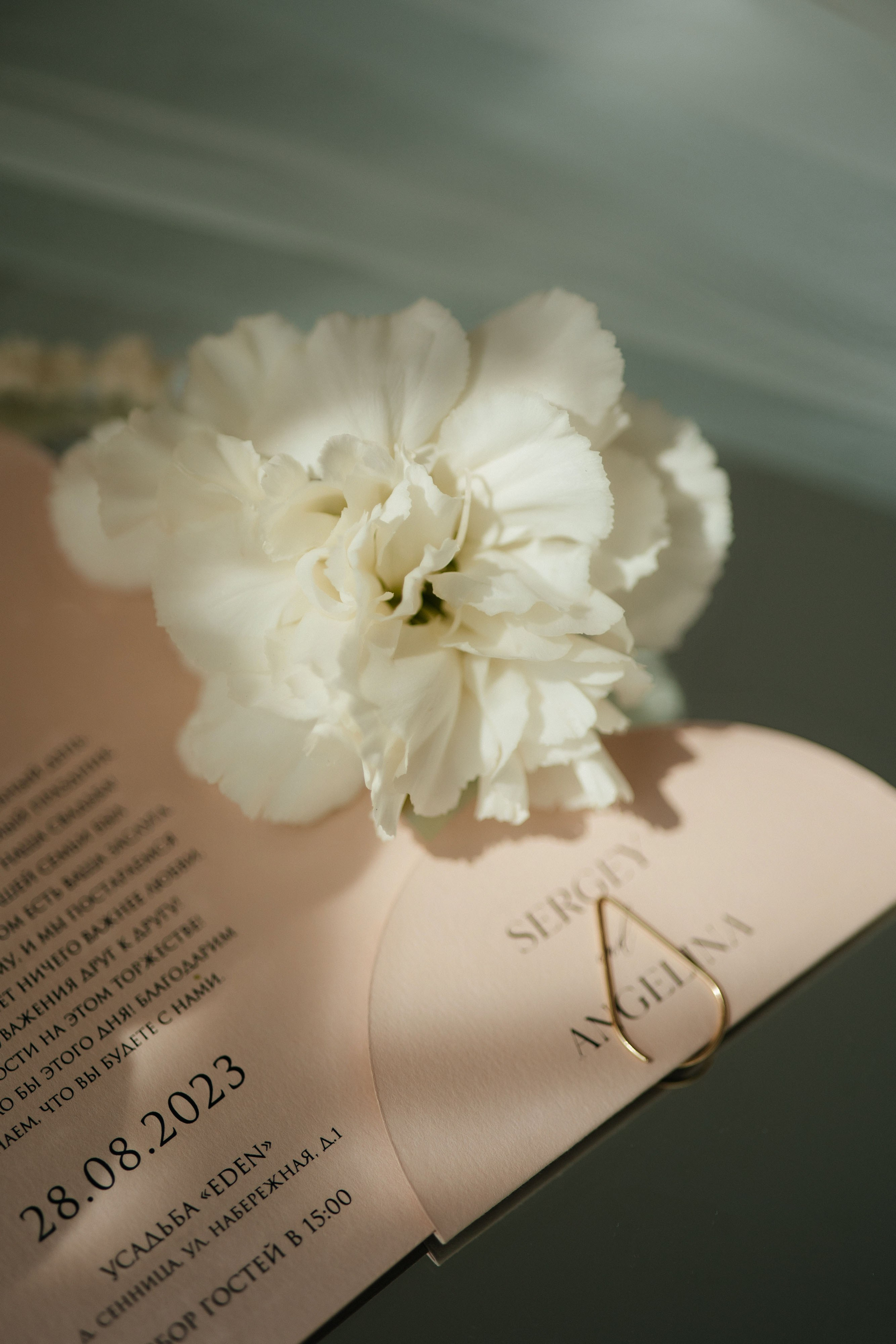 Ангелина и Сергей. Свадебный фотограф Минск РБ