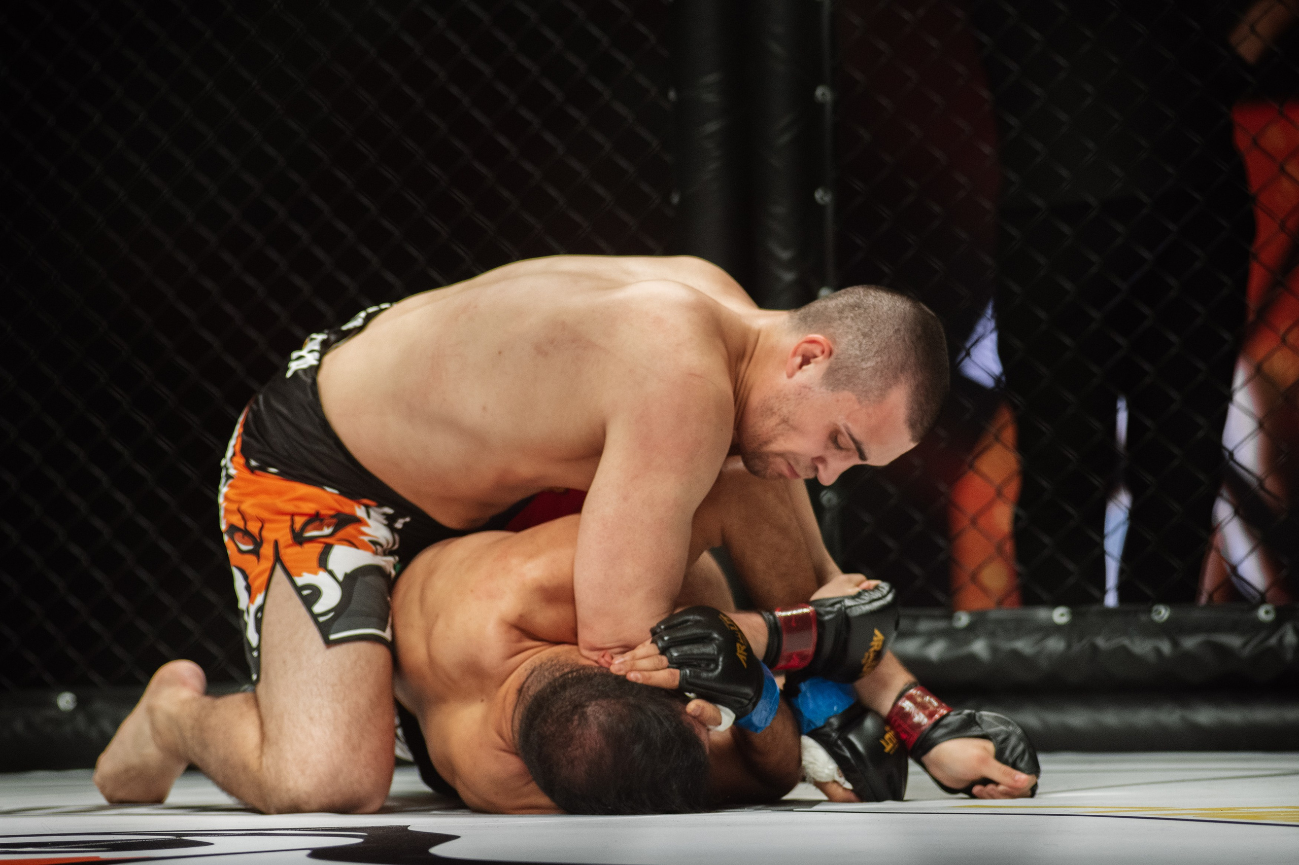 Miroslava Fight