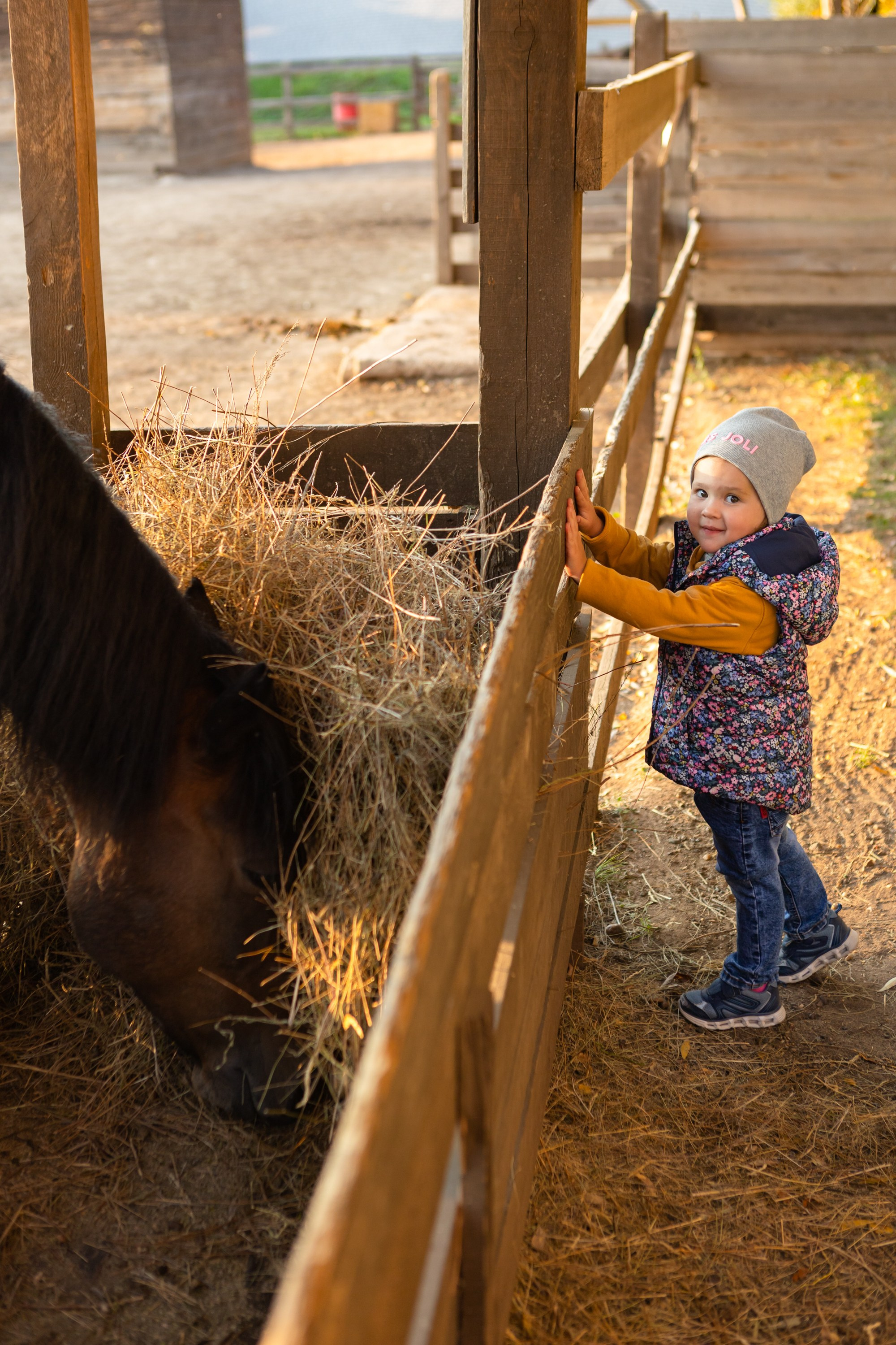 Фотосессия в конном клубе Воздух. Фотограф в Оренбурге. Профессиональный фотограф