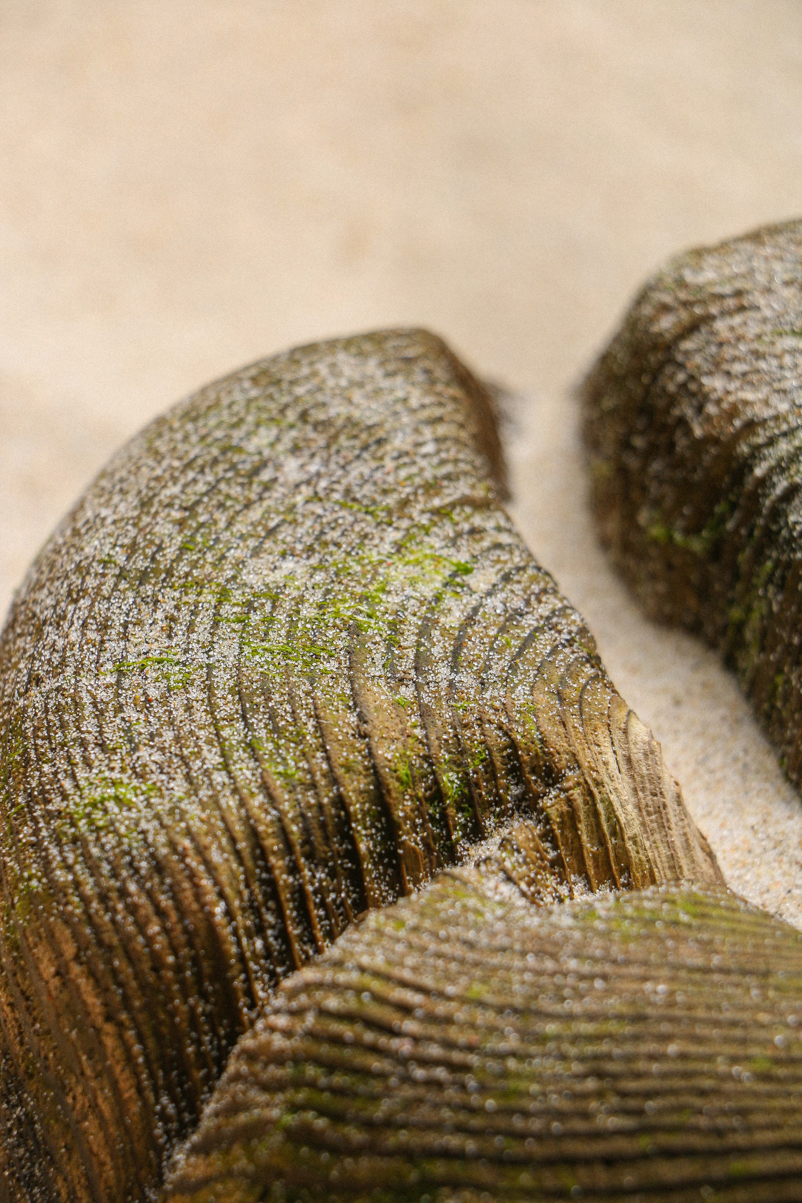 «Малина» rest. Контент-фотограф Калининград АНАСТАСИЯ ТКАЧЕВА