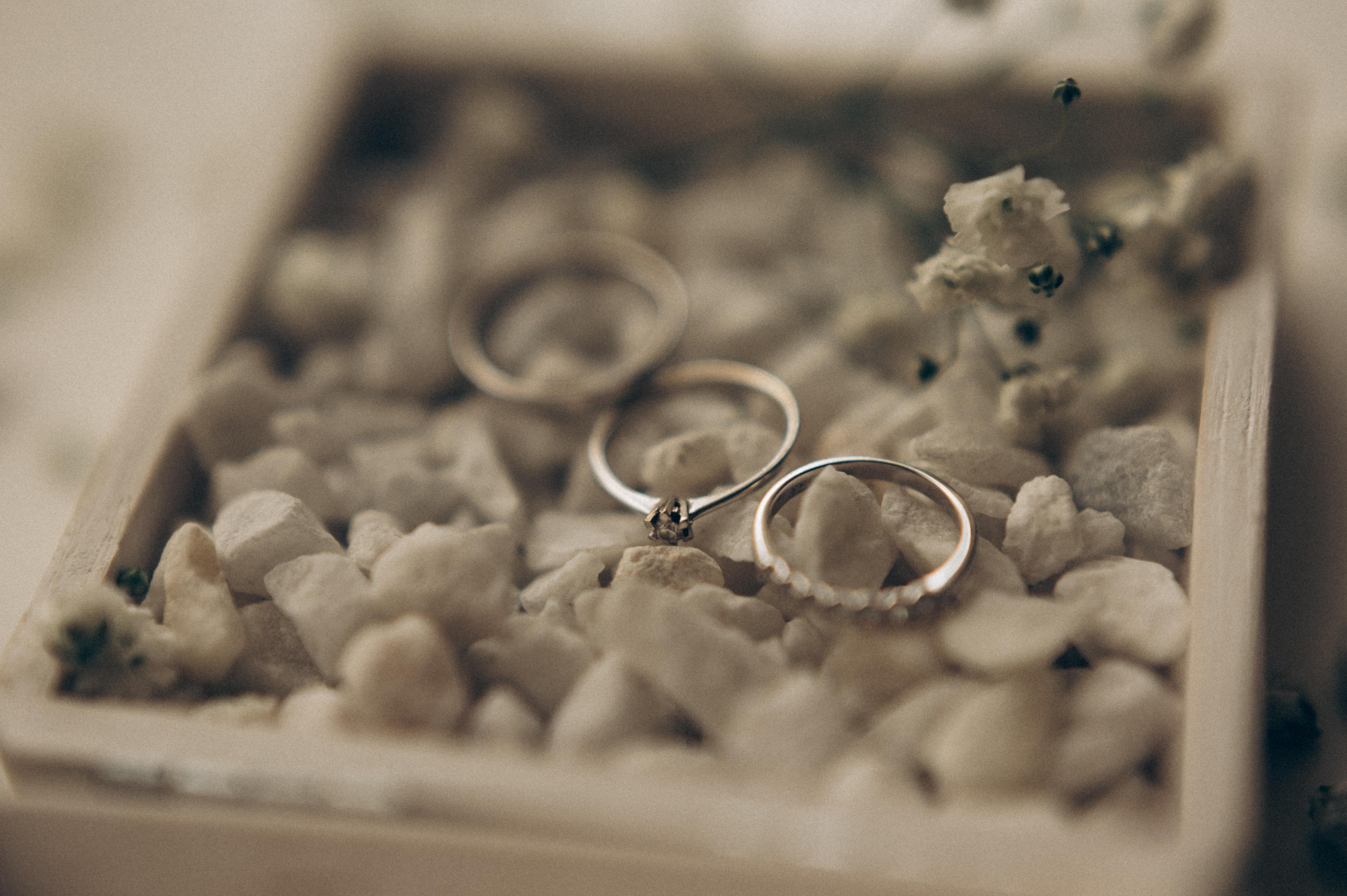 Александр и Анна | Красноярск. Свадебный организатор в Ростове-на-Дону Яснов Роман