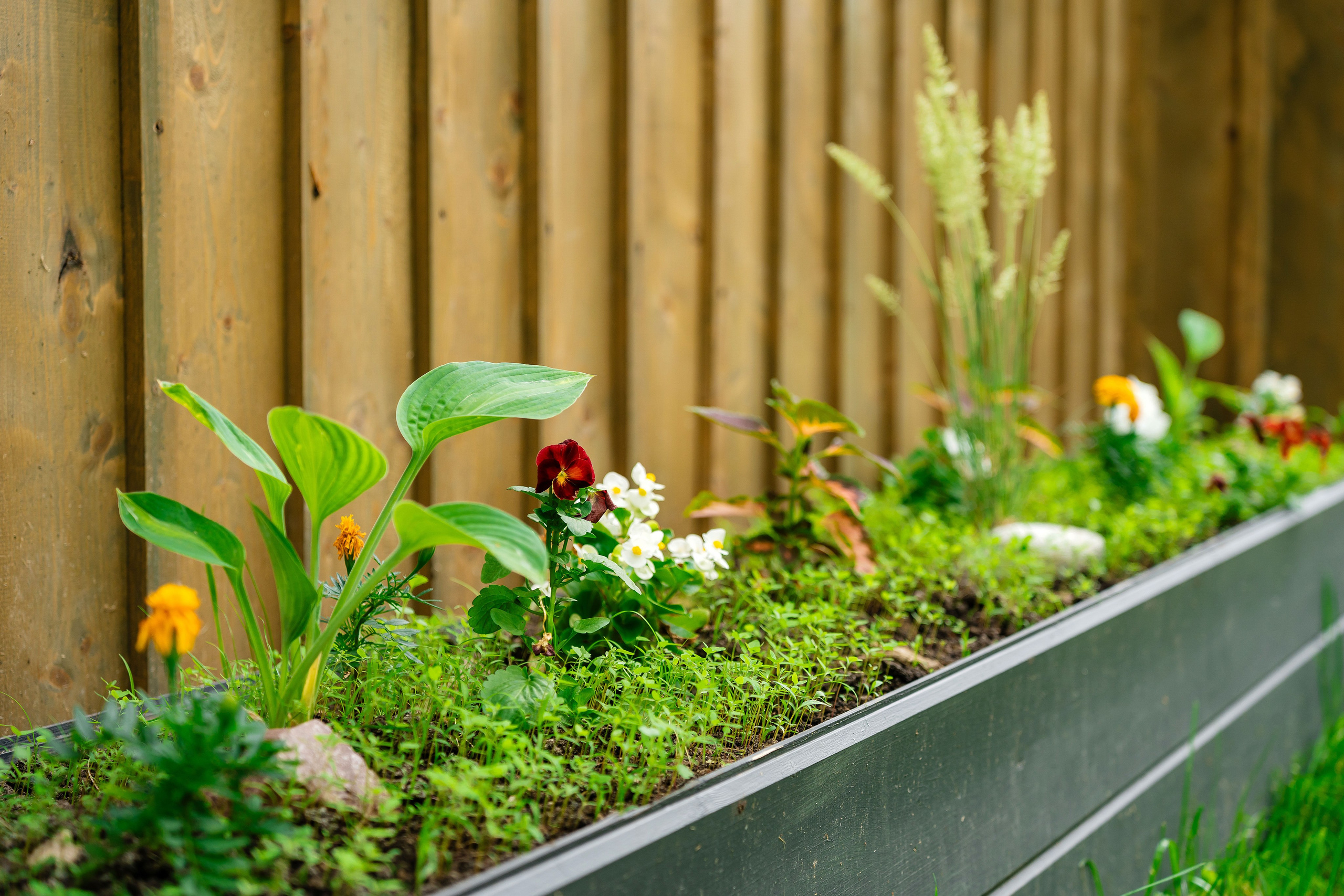 Глемпинг. Фотограф в Туле и области Константин Гудовичев