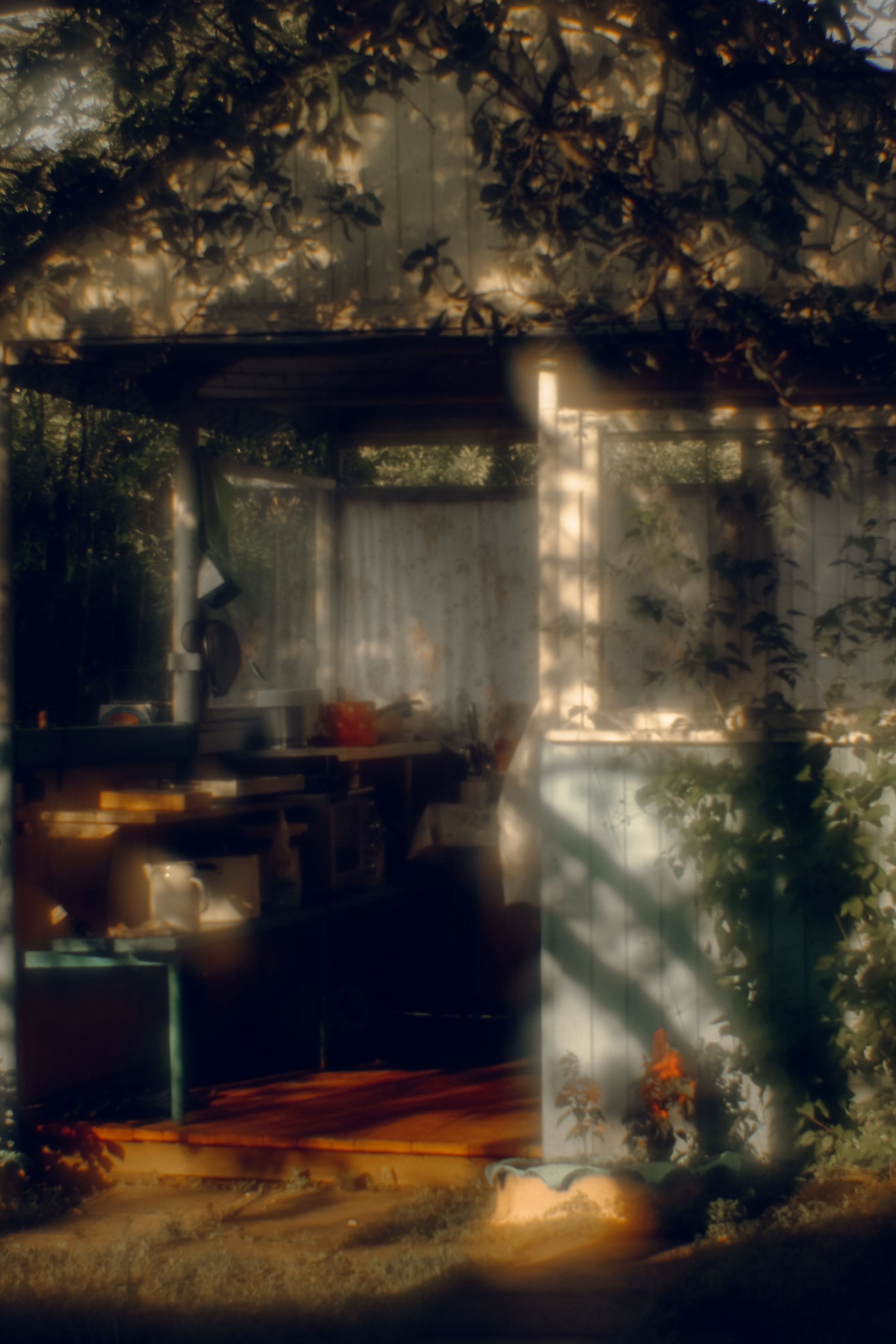 Поэзия повседневности. Семейный фотограф в Москве Марина Аргунова