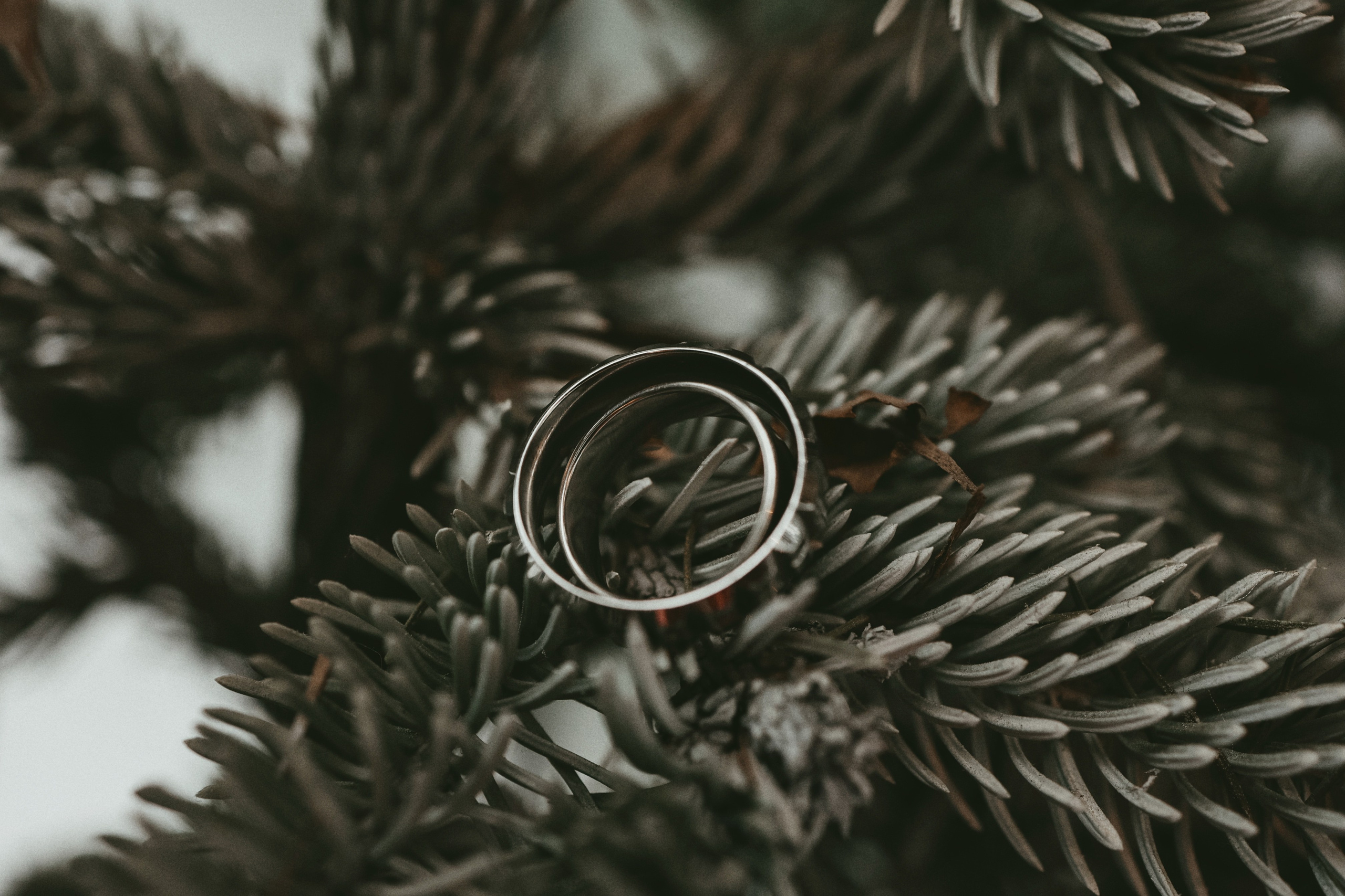 Любовь. Фотограф и видеограф в Москве Полина Абраменкова