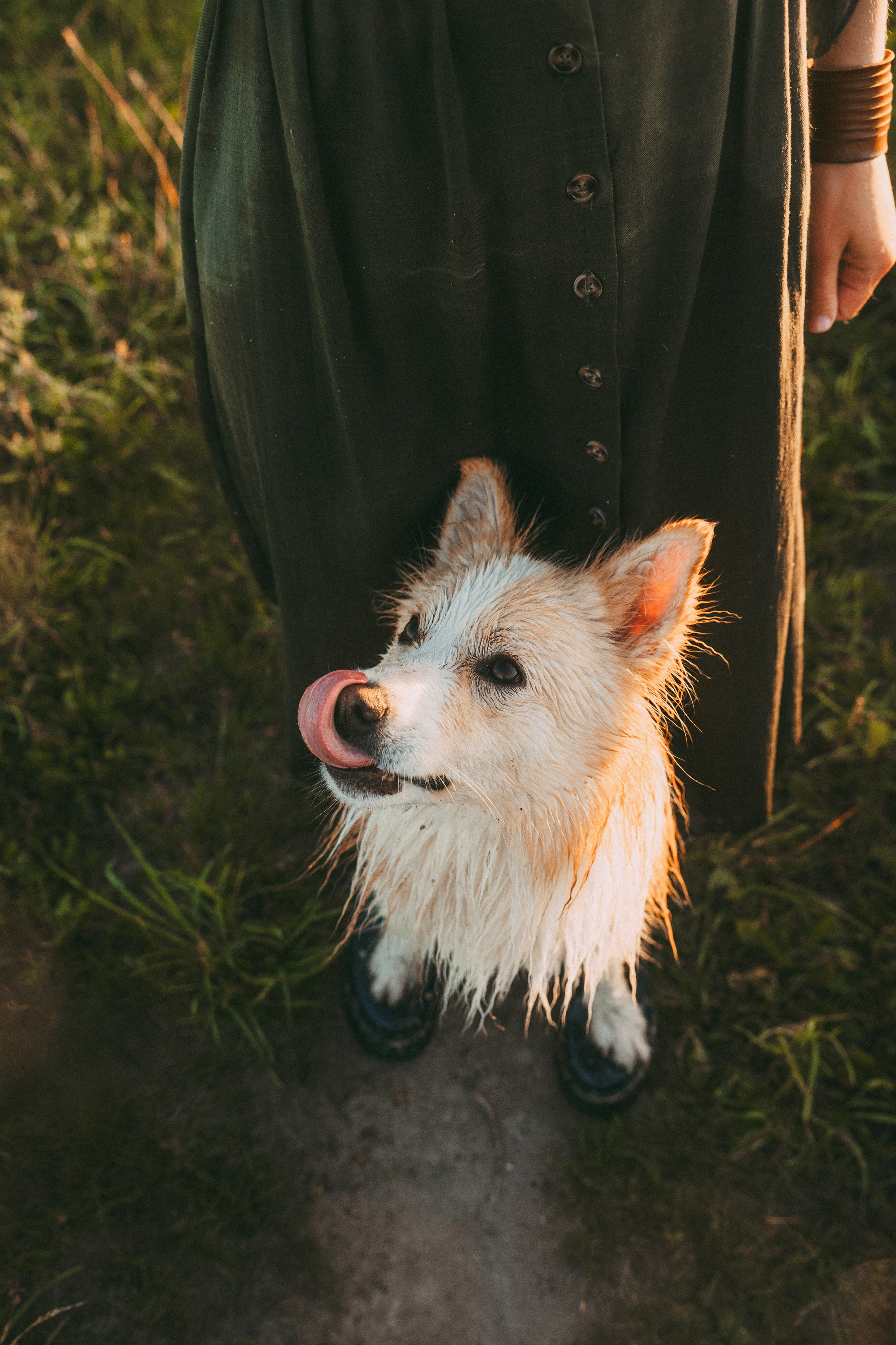 Рина и Марси. Фотограф анималист в Москве и Санкт-Петербурге Свиридова Анна