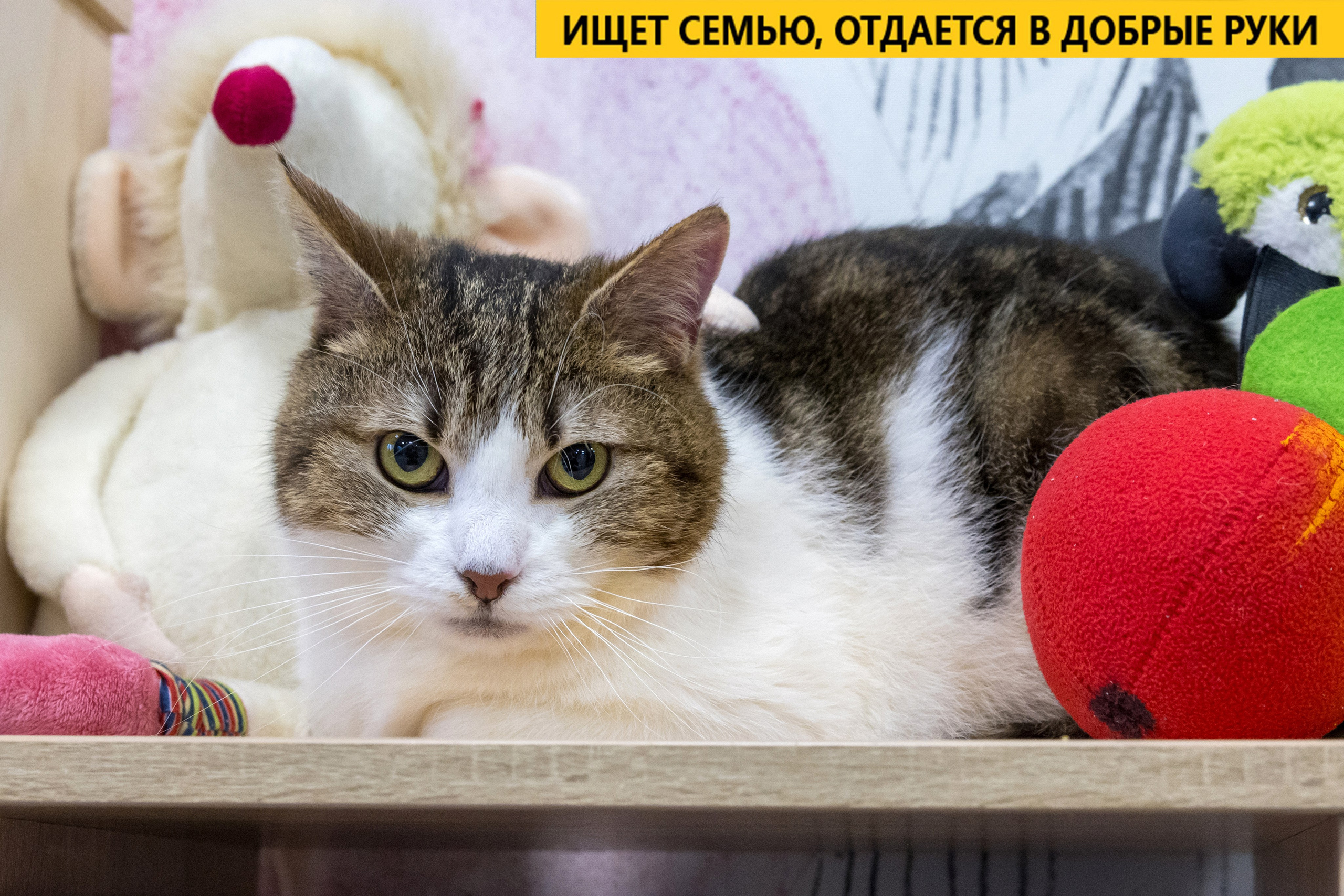 Рекламная съемка в Москве. Геннадий Степанов —фотограф в Москве