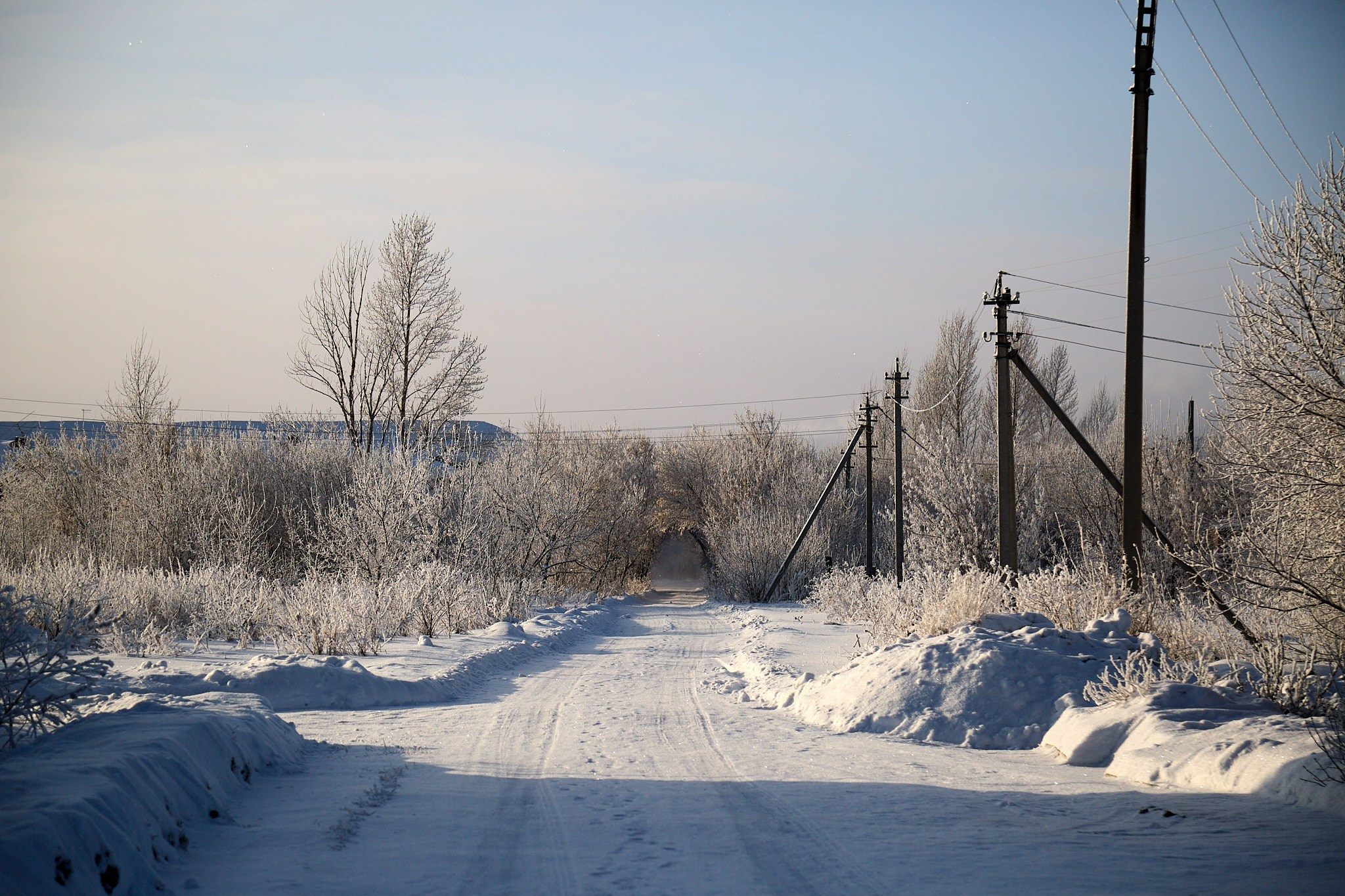 Предновогодняя сказка. Фотограф Омск | Александр Вандеров