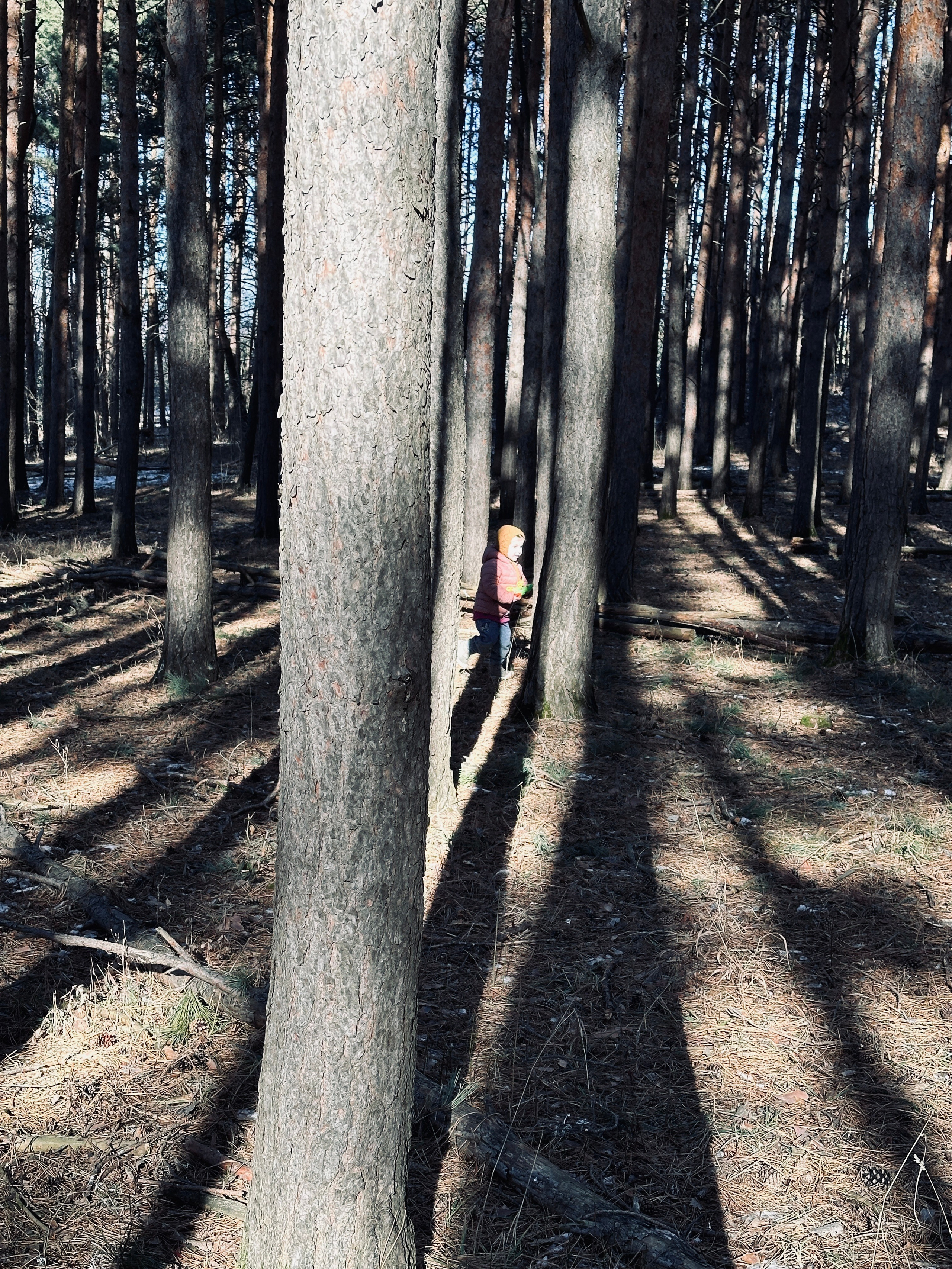 Дети. Смотри, красота!