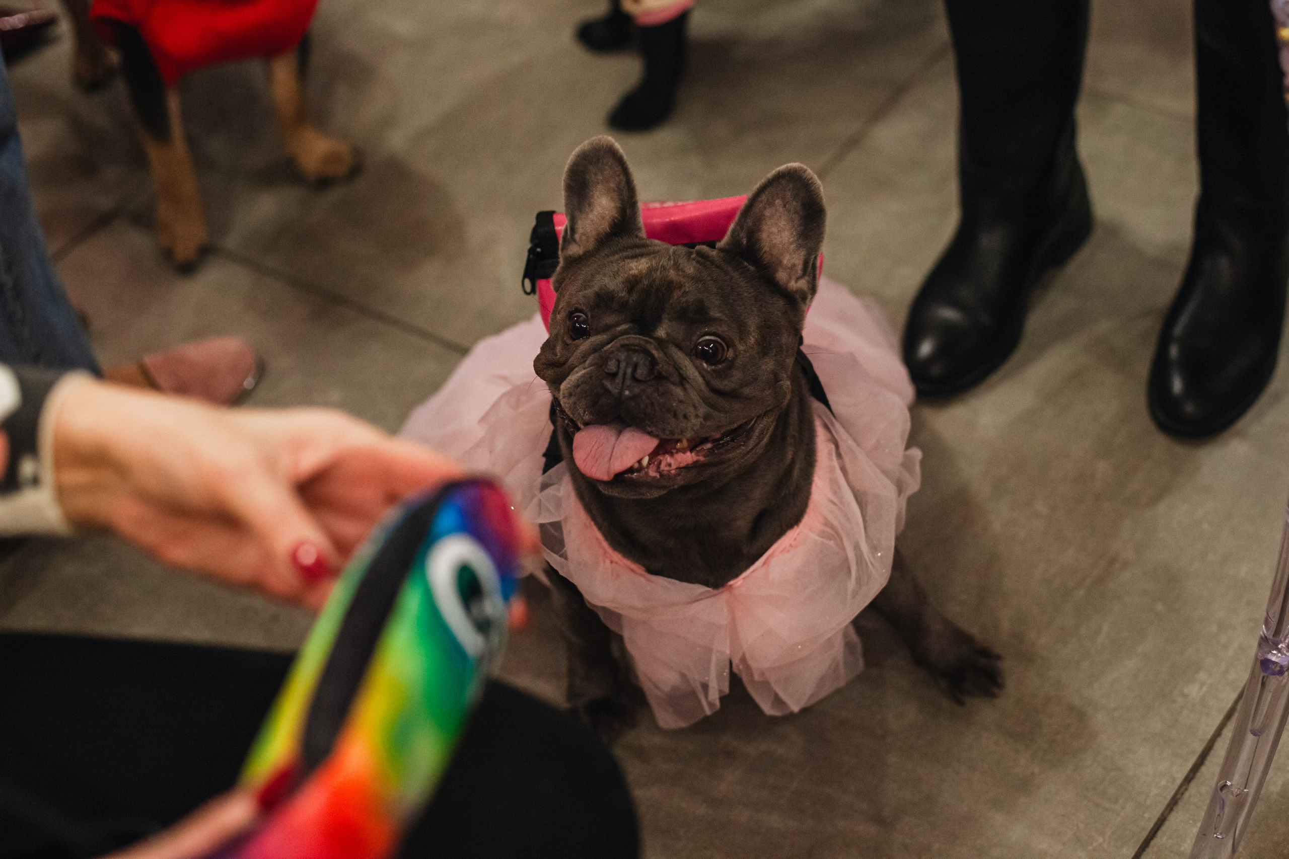 Бульёлка 2024. Фотограф-анималист Татьяна Степанова