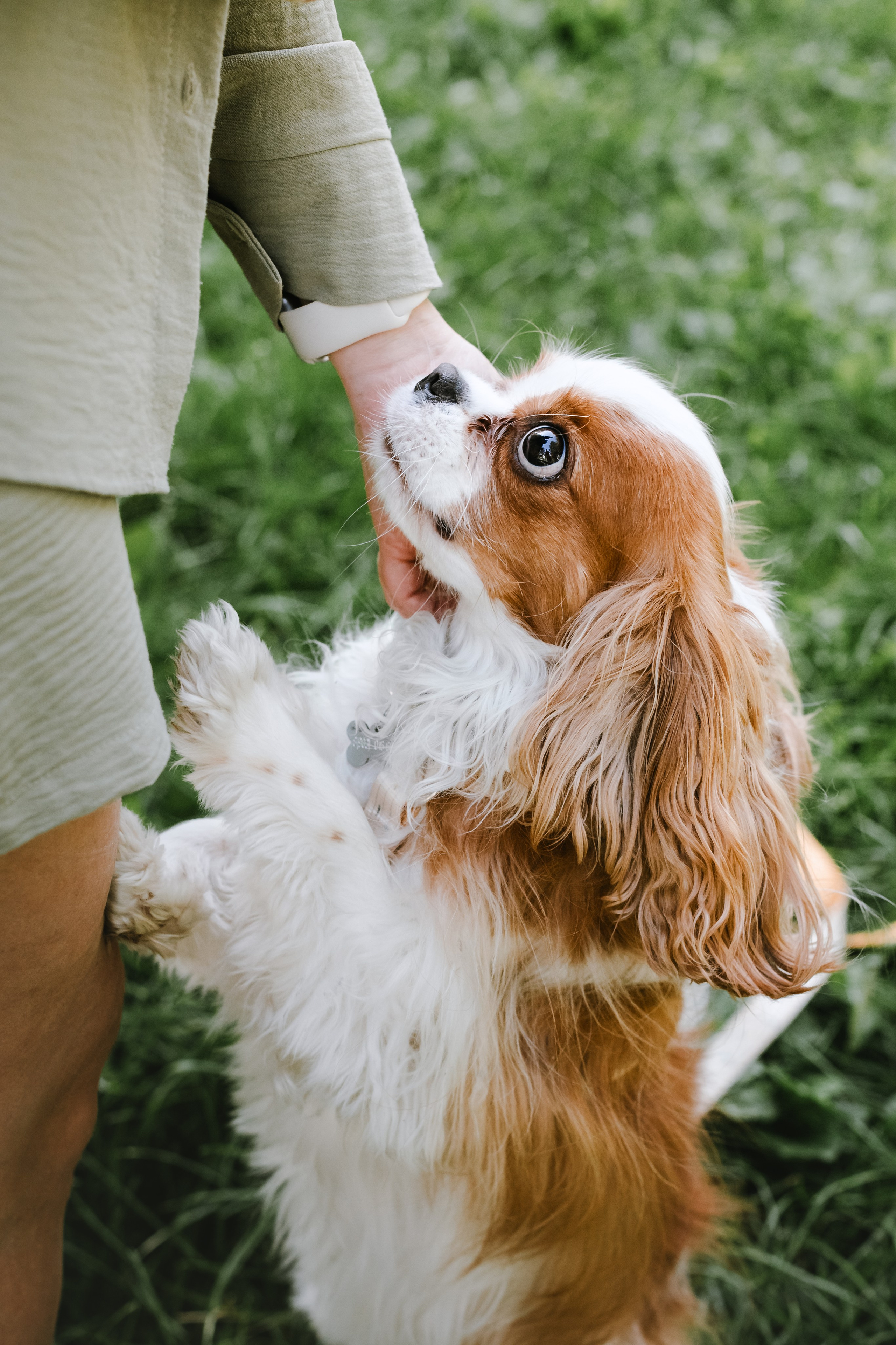 Фотопрогулка на бульваре. Фотограф-анималист Татьяна Степанова