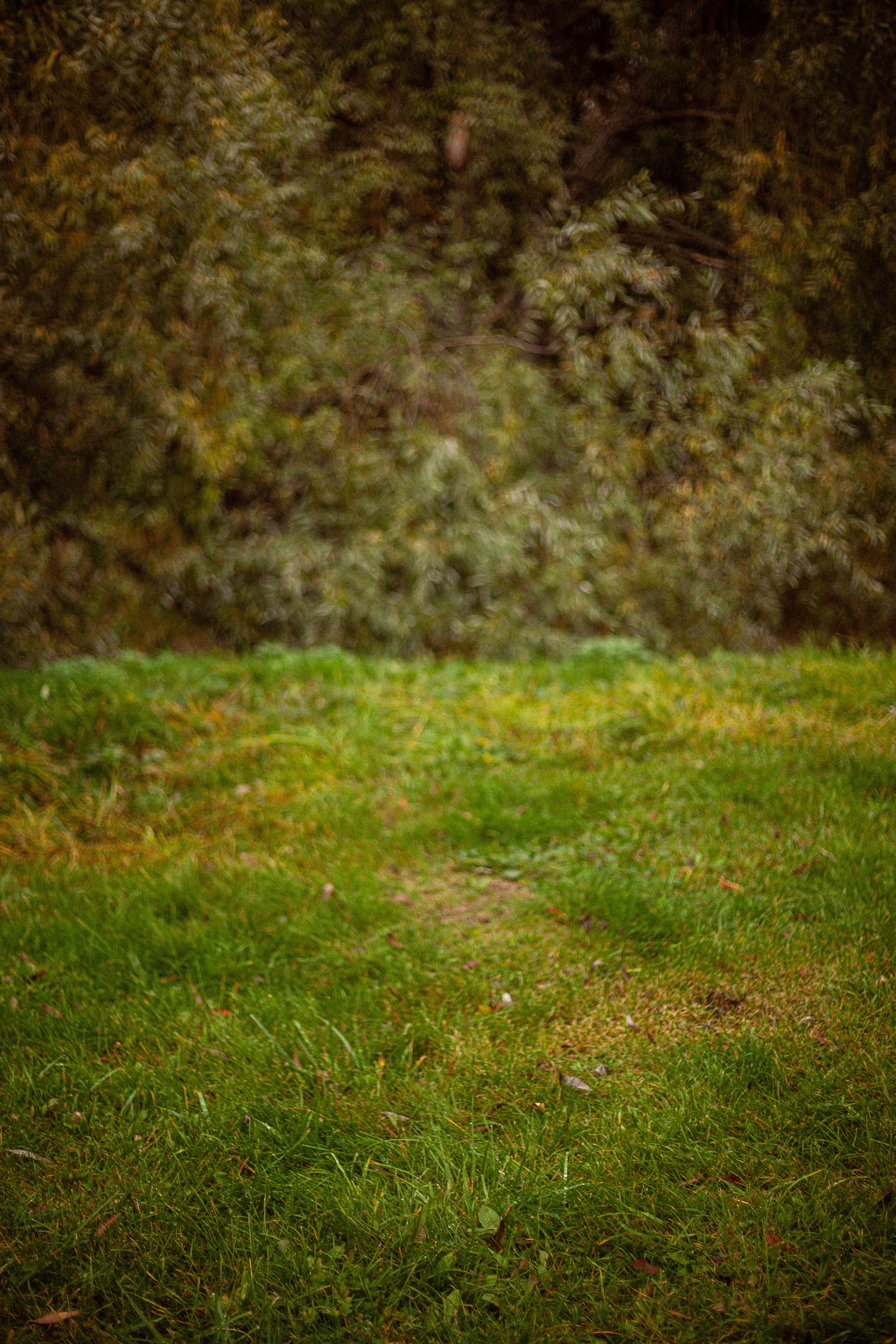 Осенняя серия. Фотограф в Москве. Екатерина Митина