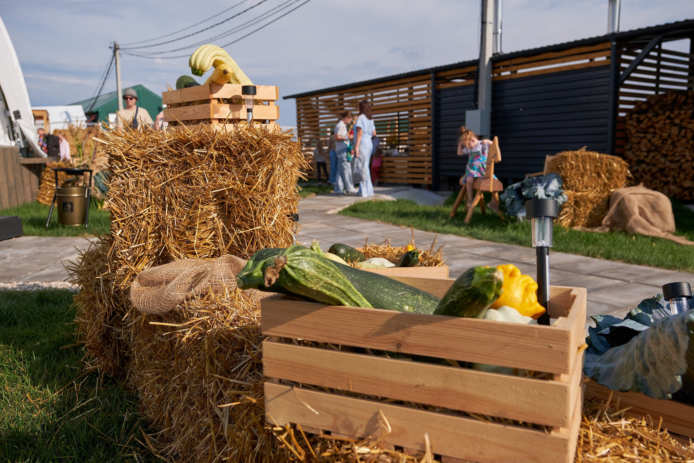 Фотосъёмка события на ферме Основание | Репортаж. Фотограф на мероприятие, свадьбу в Тольятти, Самара | Демотченко Андрей