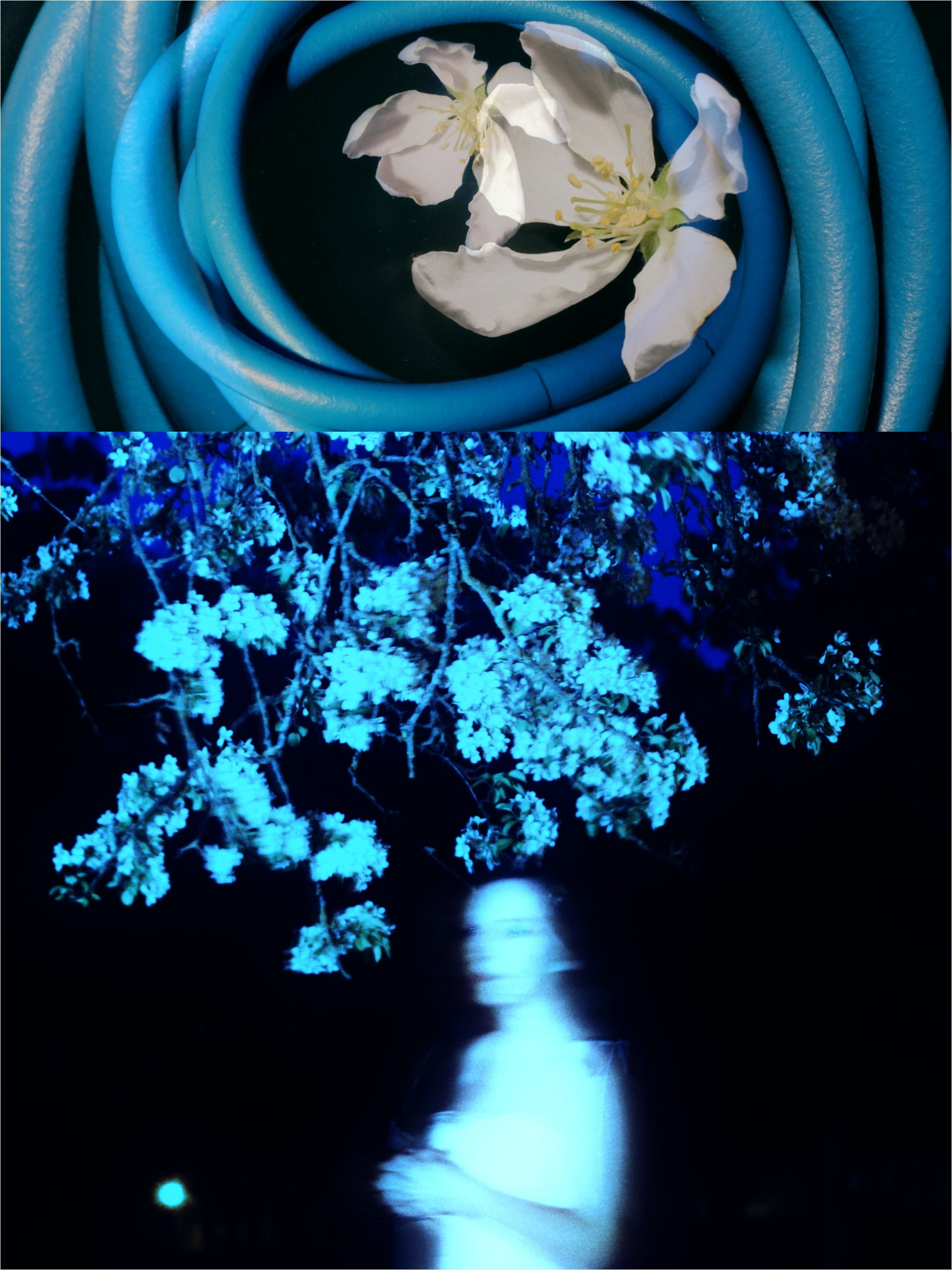 Портретное. Tatyana Mazok творческий фотограф в Минске