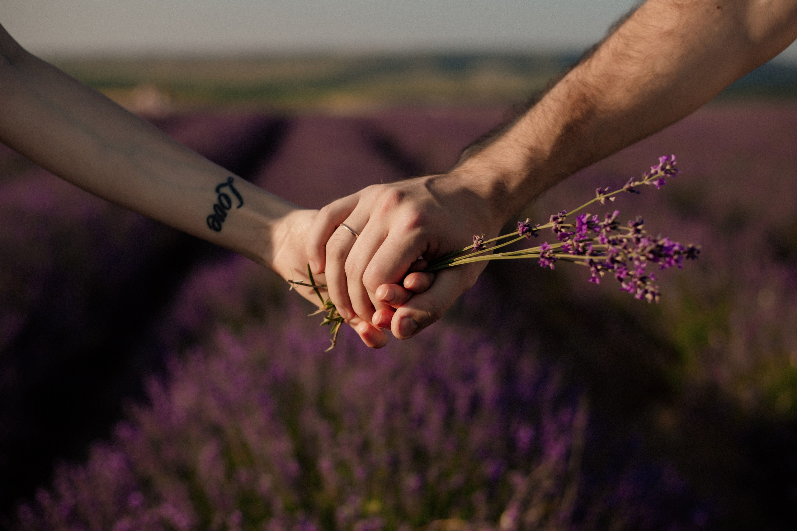 Лаванда. Фотограф и Видеограф Севастополь Крым