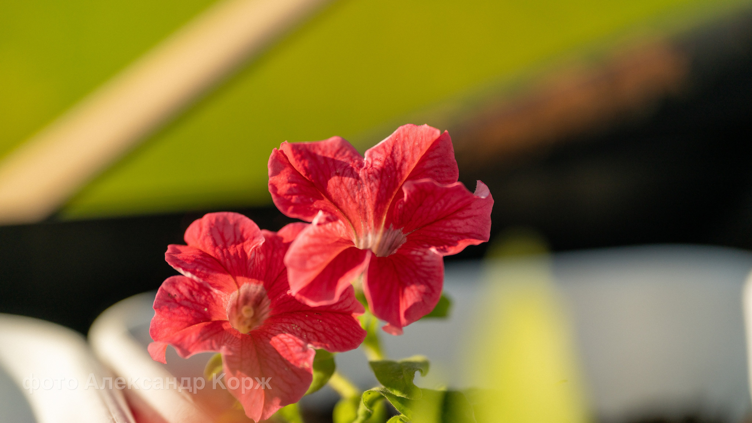 Фотографии Северного поселка Айхал. Фотографии и видеосъемка, Айхал, Удачный, Якутия. Фотографии Айхал