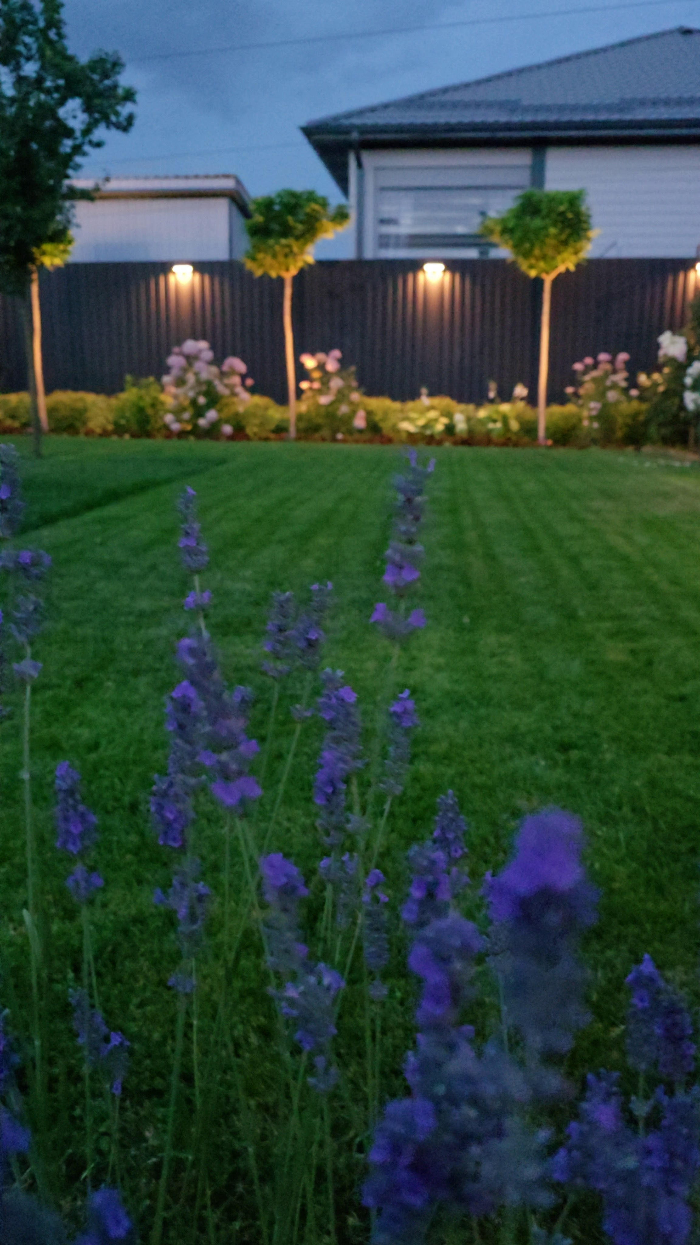 Участок Оксана. Дизайн интерьера, мебели и ландшафта на КМВ | OXY Design