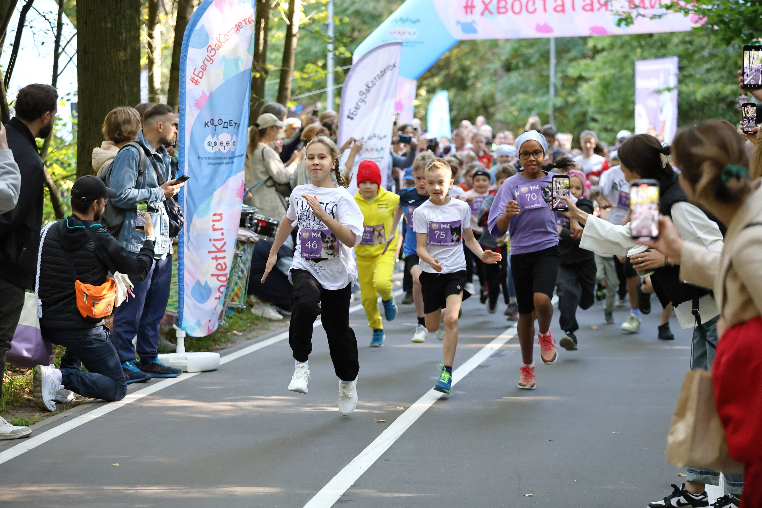 Галерея. Фотограф в Москве и Подмосковье, Николай Сорокин