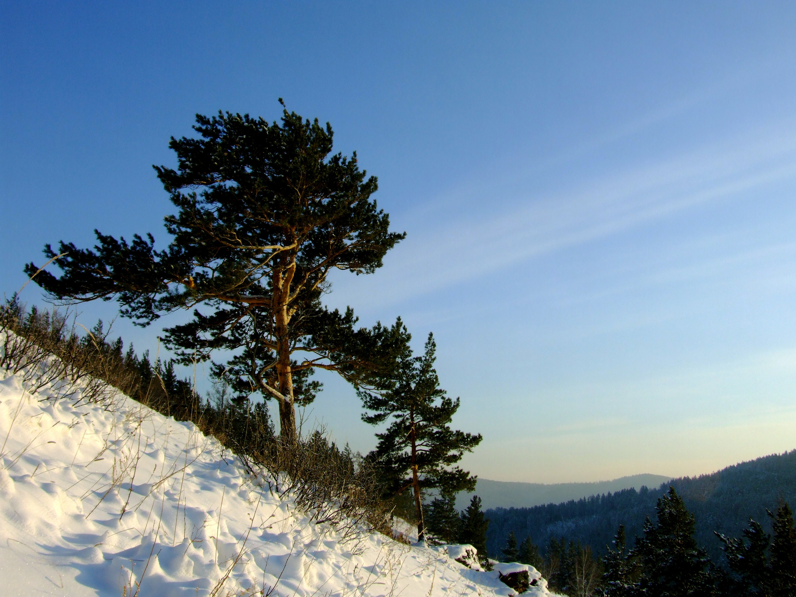 Живописные фотографии природы. Фотограф в Москве и Подмосковье, Николай Сорокин