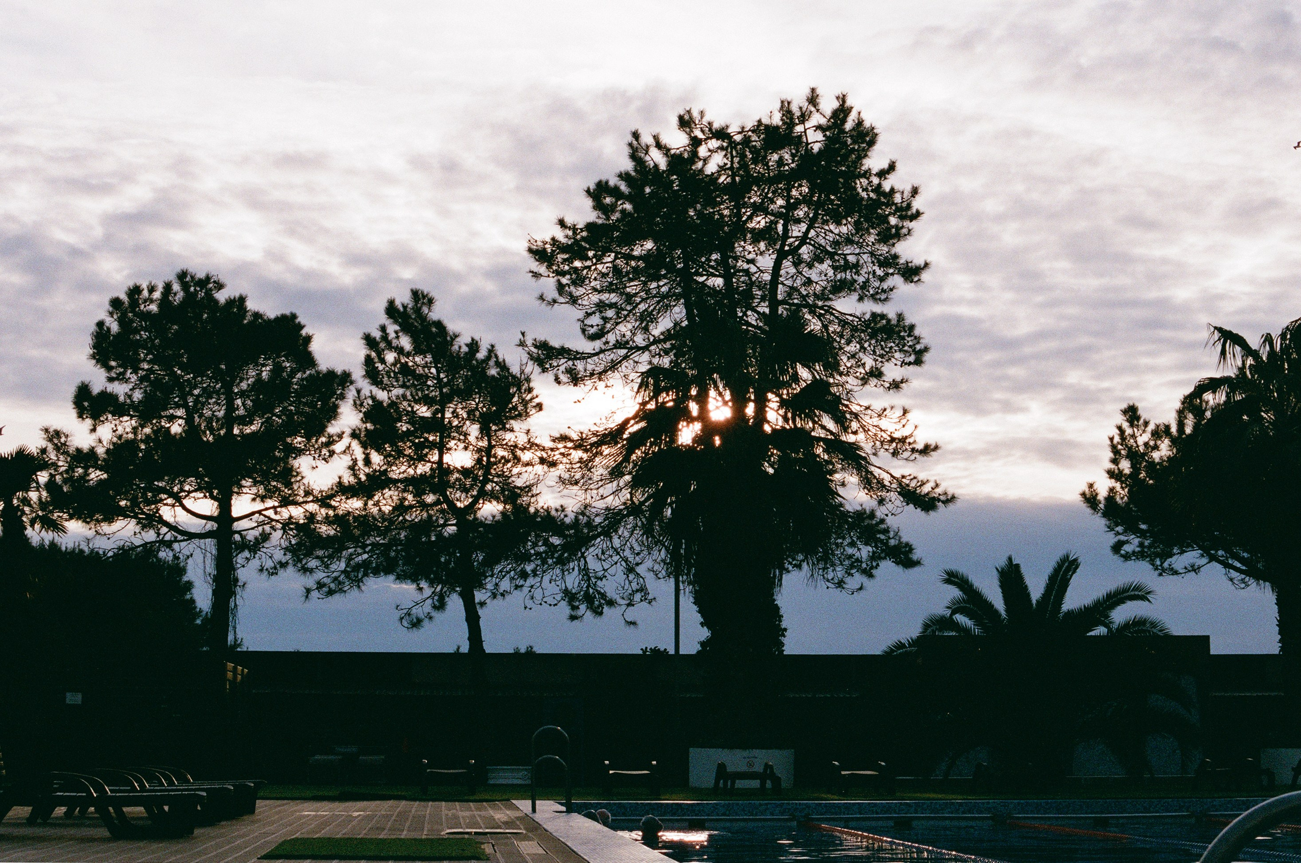 КиВиН-2024. #спецкорНвер